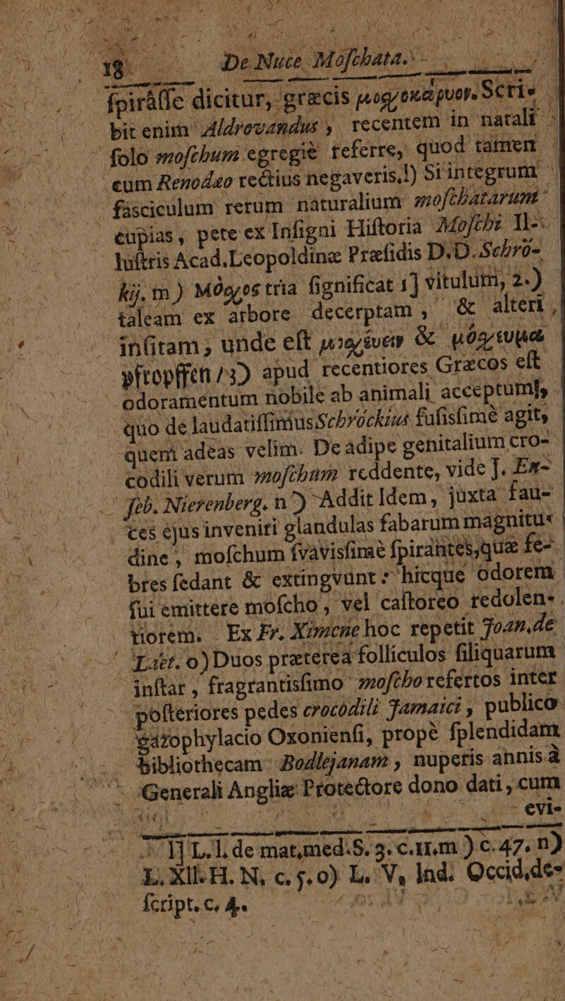 ^: 2552. ML a Oe De Nue Moftbata..—  l in(itam ; unde eft poeriuety &amp; yós tuu. wtropffen ^3) apud recentiores Gracos eft Quem adeas velim. De adipe genitalium cro- codili verum woftbum rcddente, vide J. Ez- 7 Addit Idem, juxta fau- fui emittere mofcho , vel caftorco edolen- . rorem. Ex Fr. Xiene hoc repetit joan. de.  inftar, fragrantisfimo 7zofcbo refertos inter axophylacio Oxonienfi, prop? fplendidam | j^ Mut éVis dix toe 3, 3. c. Hum )e47. n) fcript. c, &amp;. f m 5 i 1 3 — j LE ^ E - r2 ^