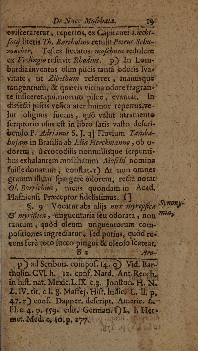 24€ MEM uacher, - 'Teftes ficcatos. zmofcbum sedolere tangentium, &amp; quavis vicina: odorefragran- TQEPEEWwrv ves vm Ícriptorto ufus eft in libro (atis vafto delcri- busexhalantem mofchatum AJofibi nomine Hafnienli Prieceptor fidelismus. 1] - tantum , quüd oleum unguentorum com-: politiones ingrediatur fed, potius, quód res. Ba - Sra Uf tro- eryeT: Scribon. Begptus TR VASE UA Yid Bar- art oq CO al ot ^