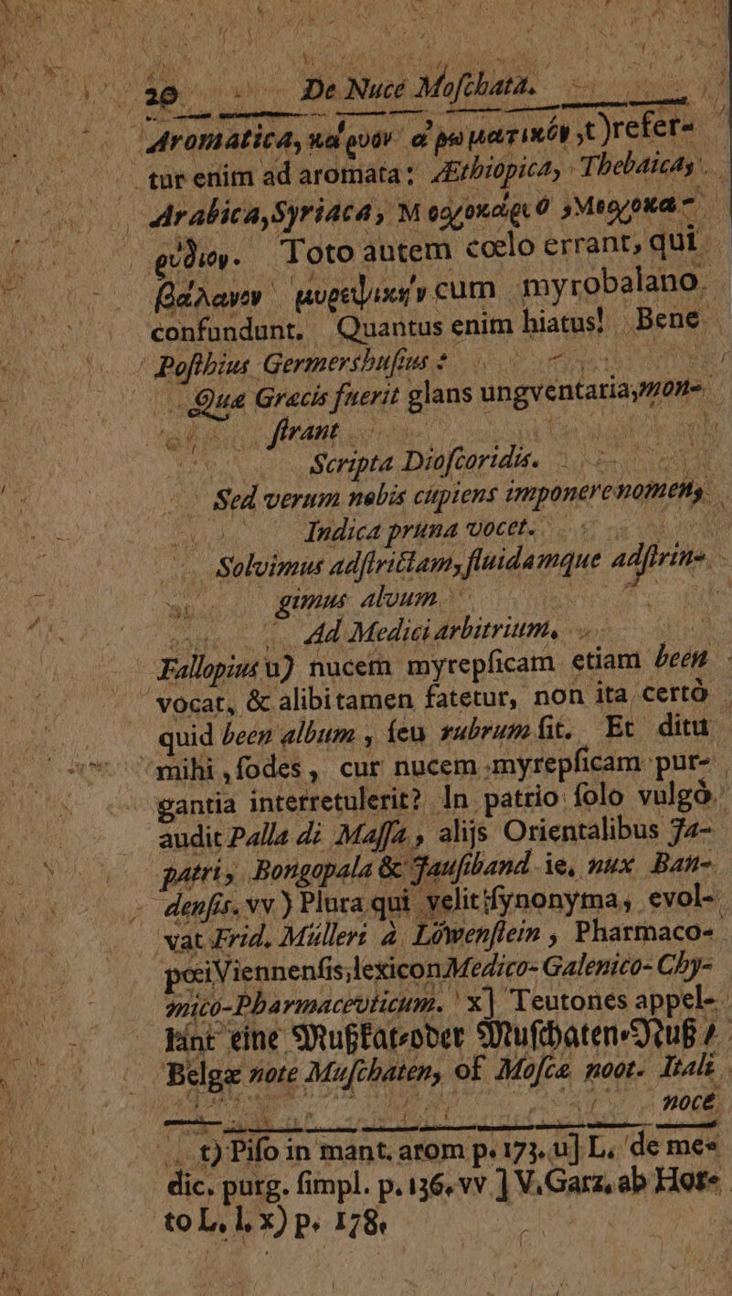 a advo auos Mafehald, - 7 ced wis mme qucm ene n Nan fru R ETRURIAE e a ANI TN 6A Aromatic, wa 90V a pei heir i t)refer«. gud». Totoautem coelo errant, qui. - dier uogeijiofy cum. myrobalano, confundunt. Quantus enim hiatus! Bene Pofibius Germershufus $0 0s | | Qua Gracis fuerit glans ungventatiayg0n- edi | férant iios x ecu Ode | Scripta Diofcortdts. PAR Sed verum. nabis cipiens imponerenomens ADAE Indica pruna vocet. ia Solvinus adflritlam, fluidamque adfrins. unus aloum VER GALE Ad Medici arbitrium, |. quid /eez album , íeu sabrum fit. Et ditu gantia interretulerit? In patrio folo vulgó. audit Palla Zi Maffa., alis Orientalibus J4- patris Bongapala &amp; Jaufiband ie, nux. .Ban- peciViennenfis .lexiconMeZico- Galenico- Cb- snito-Pbarmacevticum. ' x] Teutones appel- pint eine Suffateober Situfebaten«guB ^. Belga note Mufcbaten, of Mo[ce noot. Itali . du apuv. VAM cr, 42A 7 OG dic. purg. fimpl. p.136, vv.] V.Garz, ab Hote. toL, l, x) p. 178 $E - f