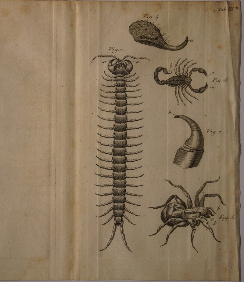 a Wa : fug. 2 DP edic. AS a Mov Wins i Pay &amp; WN ae Wao Age ; f ! i 5D à » f i Wi  ME P ] j { e I r à i! a \