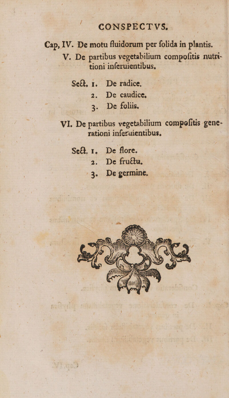 Cap, IV. De motu fluidorum per folida in plantis. V. De partibus vegetabilium compofitis nutri- tioni inferuientibus, SeQ, 1. De radice, 2. De caudice. 3. De foliis. VI. De partibus vegetabilium cdniof tis gene- rationi inferuientibus,