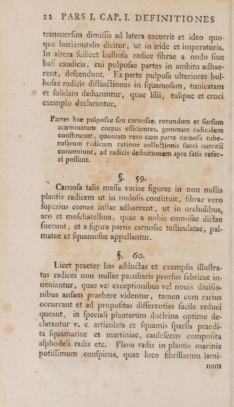 L / transuerfim dimiífis ad latera excurrit et ideo quo- In altera fcilicet bulbofa radice fibrae a nodo fiue baíi caudicis, cui pulpofae partes in ambitu adhae-- rent, defcendunt. Ex parte pulpofa ulteriores bul- bofae radicis diftinCtiones in Íquamofam, tunicatam exemplo declarantur. Partes hae pulpofae feu catnofae, rotundum et fürfum acuminatum corpus efficientes, gemmam radicalem conftituunt, quoniam vero cum parte carnofà tube- rofarum radicum ratione colleftionis fücci nutritii conueniunt, ad radicis definitionem apte fatis refer- ripoffünt. —- j A21. T ^ Carnofa talis maa variae figurae in. non nullis plantis radicem ut in nodofis conítituit, fibrae vero fuperius comae inflar adhaerent, ut in orchidibus, aro et mofchatellina, quae a nobis comofae dictae fuerunt, et à figura partis carnofae tefliculatae, pal- matae et Íquamofae appellantur. $. 6o. Licet praeter has adduétas et exemplis illuffra- tas radices non nullae peculiaris prorfus fabricae in- ueniantur, quae vel exceptionibus vel nouis diuifio- nibus anfam praebere videntur, tamen cum rarius occurrant et ad propofitas differentias facile reduci queant, in fpeciali plantardm dottrina optime de- clarantur v. c, articulata ct Íquamis fparfis praedi- ta fquamariae et miartiniae, caulefcens compofita afphodeli radix etc. — Plana radix in plantis marinis potiflimum confpicua, quae loco fibrillarum lami- nam