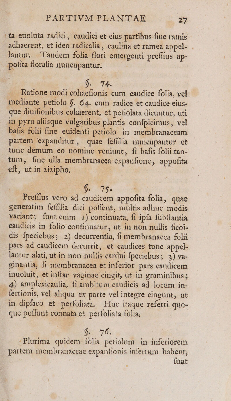 |ta euoluta radici, caudici et eius partibus fiue ramis adhaerent, et ideo radicalia, caulina et ramea appel- lantur. landem folia flori emergenti preffius ap- - pofita floralia nuncupantur, | | $. 74. . Ratione modi cohaefionis cum caudice folia, vel mediante petiolo $. 64. cum radice et caudice eius- que diuifionibus cohaerent, et petiolata dicuntur, uti in pyro aliisque vulgaribus plantis confpicimus, vel bafis folii fine euidenti petiolo in membranaceam partem 'expanditur, quae feffüilia nuncupantur et tunc demum eo nomine veniunt, fi bafis folii tan- tum, fine ulla membranacea expanfione, appofita eft, ut in zizipho. : | 4 Á/ $& 7$. Preffius vero ad caudicem appofita folia, quae generatim fefilia dici poffent, multis adhuc modis variant; funtenim 1) continuata, fi ipfa fubítantia caudicis in folio continuatur, ut in non nullis ficoi- dis fpeciebus; 2) decurrentia, fi membranacea folii pars ad caudicem decurrit, et caudices tunc appel- lantur alati, ut in non nullis cardui fpeciebus; 3) va- ginantia, fi membranacea et inferior pars caudicem inuoluit, et inftar vaginae cingit, ut in graminibus; . 4) amplexicaulia, fi ambitum caudicis ad locum in- - fertionis, vel aliqua ex parte vel integre cingunt, ut in dipfaco et perfoliata. Huc itaque referri quo- que poflunt connata et perfoliata folia. Sv 76, :Plurima quidem. folia petiolum in inferiorem partem membranaceae expanfionis infertum habent, | | fuat