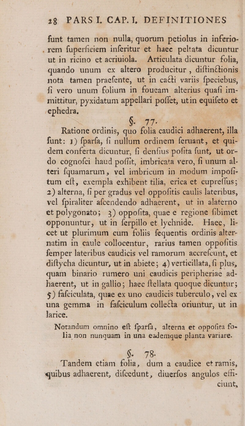 funt tamen non nulla, quorum petiolus in inferio- , rem fuperfieiem inferitur et haec peltata dicuntur ut in ricino et acriuiola. — Articulata dicuntur folia, quando unum ex altero producitur, diftin&amp;tionis nota tamen praefente, ut in ca&amp;ii variis fpeciebus, fi vero unum folium in foueam alterius quafi im- mittitur, pyxidatum appellari poffet, utin equifeto et ,ephedra. | | Ratione ordinis, quo folia caudici adhaerent, illa funt: 1) fparía, fi nullum ordinem feruant, et qui- dem conferta dicuntur, fi denfius pofita funt, ut or- do cognofci haud poffit, imbricata vero, fi unum al. teri fquamarum , vel imbricum in modum impofi- tum eíl, exempla exhibent tilia, erica et cupreffus; 2) alterna, fi per gradus vel oppofitis caulis lateribus, vel fpiraliter afcendendo adhaerent, ut in alaterno et polygonato; 3) oppofita, quae e regione fibimet opponuntur, ut in ferpillo et lychnide. Haec, li- cet ut plurimum cum foliis fequentis ordinis alter- natim in caule collocentur, rarius tamen oppofitis femper lateribus caudicis vel ramorum accrefcunt, et diftycha dicuntur, ut in abiete; 4) verticillata, fi plus, quam binario rumero uni caudicis peripheriae ad- haerent, ut in gallio; haec ftellata quoque dicuntur; $) fafciculata, quae ex uno caudicis tuberculo, vel ex una gemma in fafciculum colle&amp;ta oriuntur, ut in larice. Notandum omnino eft fparfa, alterna et oppofita fo- lia non nunquam in una eademque planta variare. $. 78. 'Tandem etiam folia, dum a caudice et ramis, «uibus adhaerent, difcedunt, diuerfos angulos eíh- ciunt,