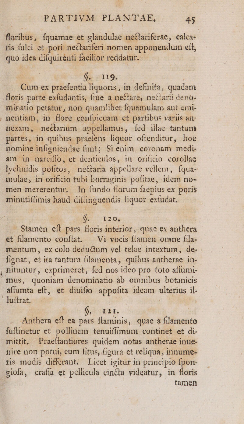 ioco; fquamae et glandulae neGariferae, calca: ris fulci et pori neCariferi nomen apponendum eít, guo idea difquirenti facilior reddatur. | $. 119. o ex praefentia liquoris , in definita, quadam floris parte exfudantis, fiue a ne&amp;lare, neclarii deno- minatio petatur, non quamlibet Íquamulam aut eini- Aat nexam, neétarium appellamus, íed illae tantum partes, in quibus. praefens liquor oflenditur, hoc. nomine infi igniendae funt; Si enim. coronam medi- am in narciffo, et dedtiuilos ; in orificio. corollae lychnidis pofitos, ne&amp;taria appellare vellem, fqua- mulae, in orificio tubi borraginis pofitae, idem no- men mererentur. [n fundo florum faepius ex poris minutiffimis haud diftinguendis liquor exfudat. $. 120, Esioméá eft pars floris interior, quae ex anthera et filamento confíat. ^ Vi vocis ftamen omne fila- mentum, ex colo dedudum vel telae intextum, de- fignat, et ita tantum filamenta, quibus antherae it- mus, quoniam denominatio ab omnibus botanicis aflumta eft, et diuifro appolita ideam ulterius il- $,)ixa Anthera eft ea pars i M quae a filamento fuftinetur et pollinem tenuiffimum continet et di- mittit. Praeftantiores quidem notas antherae inue- nire non potui, cum fitus, figura et reliqua, innume- ris modis differant. Licet igitur in principio fpon- tamen