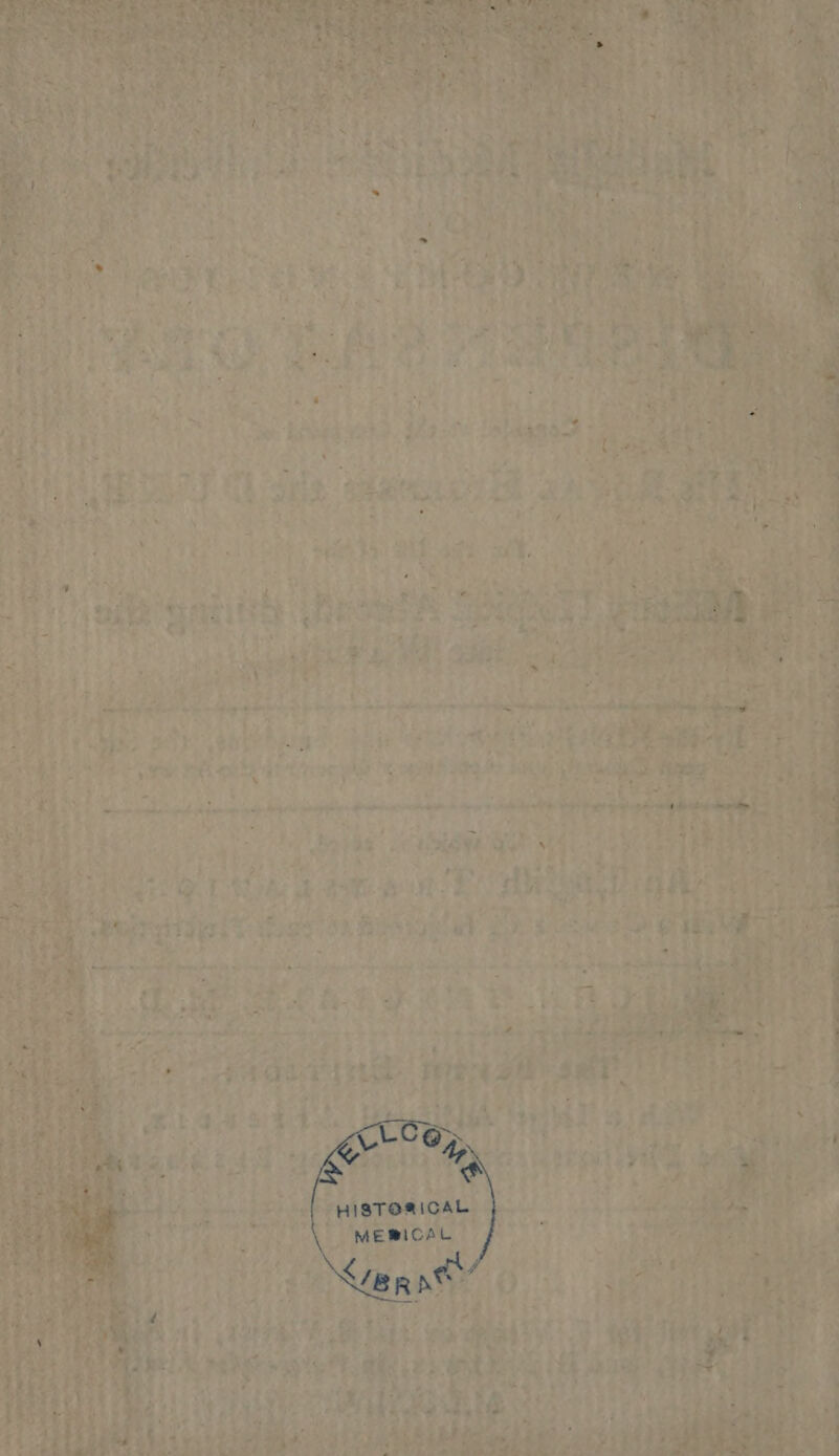 ‘hie yaks v } à Vitr Aie ool 209 es 08 ( SY * wy T HIP MY *, LI E reos Ae 1 o fis P , D nicis a