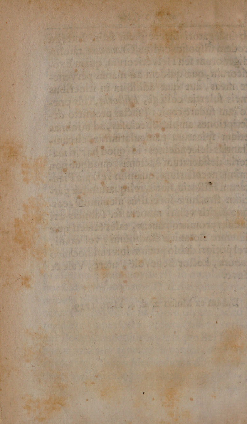  Ww 3 Hos Ies a W- ad uva EM $a f i ». in oo! npn 6 OLD )u : $ E jet i * Uy cant Lid Bus. ? É PP yrs dens Ne ya / )