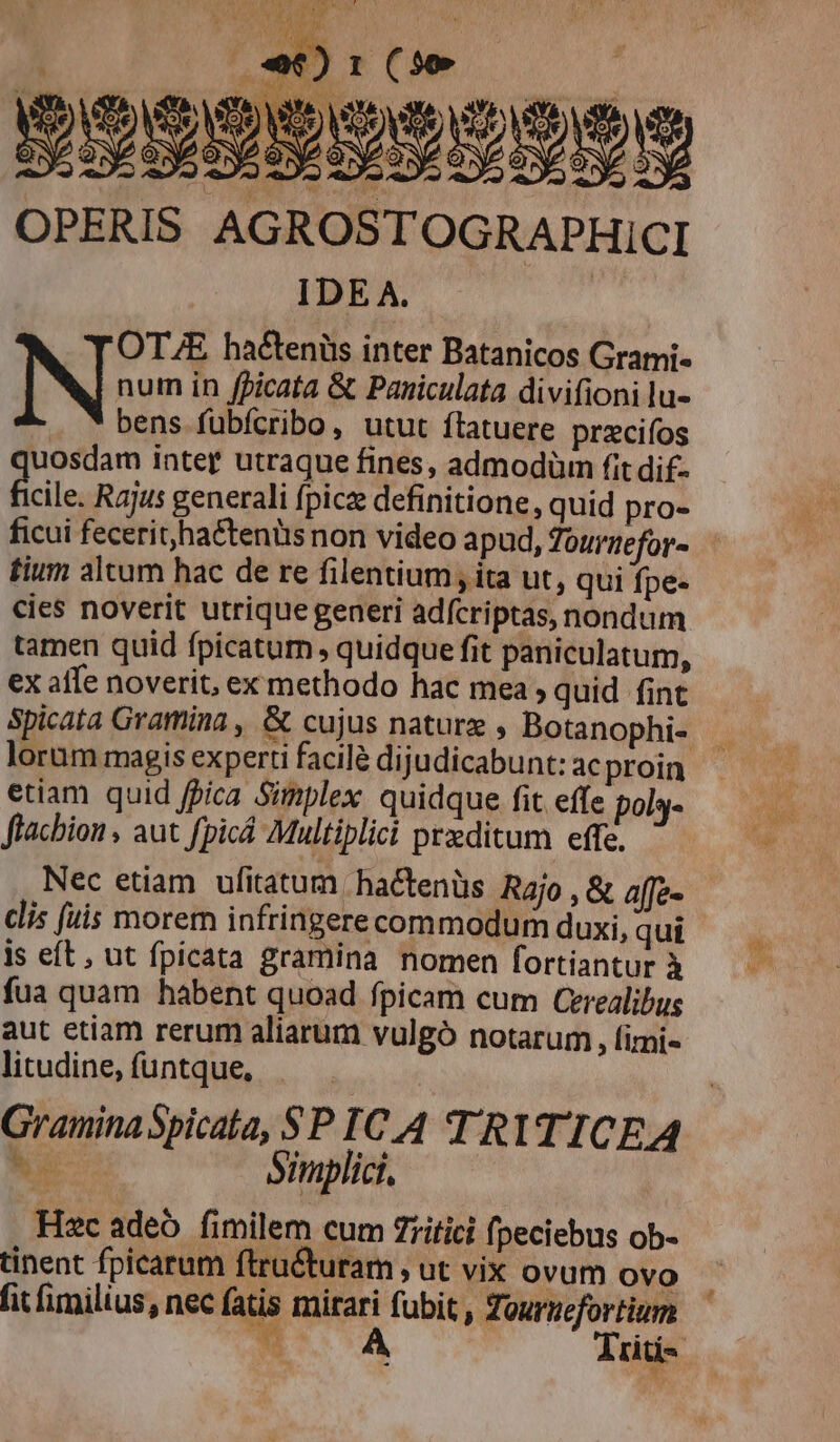 ^ Fer? um AN T, í 2p2 SM «de &amp; n aO des «| y c 2 QA 8 ? ^ AVI fuil rat »4, Bo np ach Uu. | IS ^3 (2€) j r3 ] h 9tov 1 M P NSW. N 5 i^) l (9 v e : ) É - i OPERI S AGROSTOGRAPHICI IDE A. IN: haétenüs inter Batanicos Grami- num in fpicata &amp; Paniculata divifioni lu- . * bens fübfcribo, utut flatuere przcifos uosdam inter utraque fines, admodüm fit dif- file Rajus generali fpicze definitione, quid pro- ficui fecerit,hactenüs non video apud, Tourtefor« tium altum hac de re filentium, ita ut, qui fpe- cies noverit utrique generi adfcriptas, nondum tamen quid fpicatum , quidque fit paniculatum, ex affe noverit, ex methodo hac mea , quid fint lorum magis experti facilé dijudicabunt: ac proin etiam quid fpica Simplex quidque fit effe pol3- flacbion , aut fpicá Multiplici peditum effe. lis fuis morem infringerecommodum duxi, qui is eft, ut fpicata gramina nomen fortiantur À fua quam habent quoad fpicam cum Cerealibus aut etiam rerum aliarum vulgó notarum , fimi- litudine, funtque, Gramina Spicata, SP IC 4 TRITICEA ox Smplici, Hzc adeo. fimilem cum Zritici fpeciebus ob- tinent fpicarum ftru&amp;turam , ut vix ovum ovo fit fimilius, nec fatis mirari fubit , Tournefortium W- A