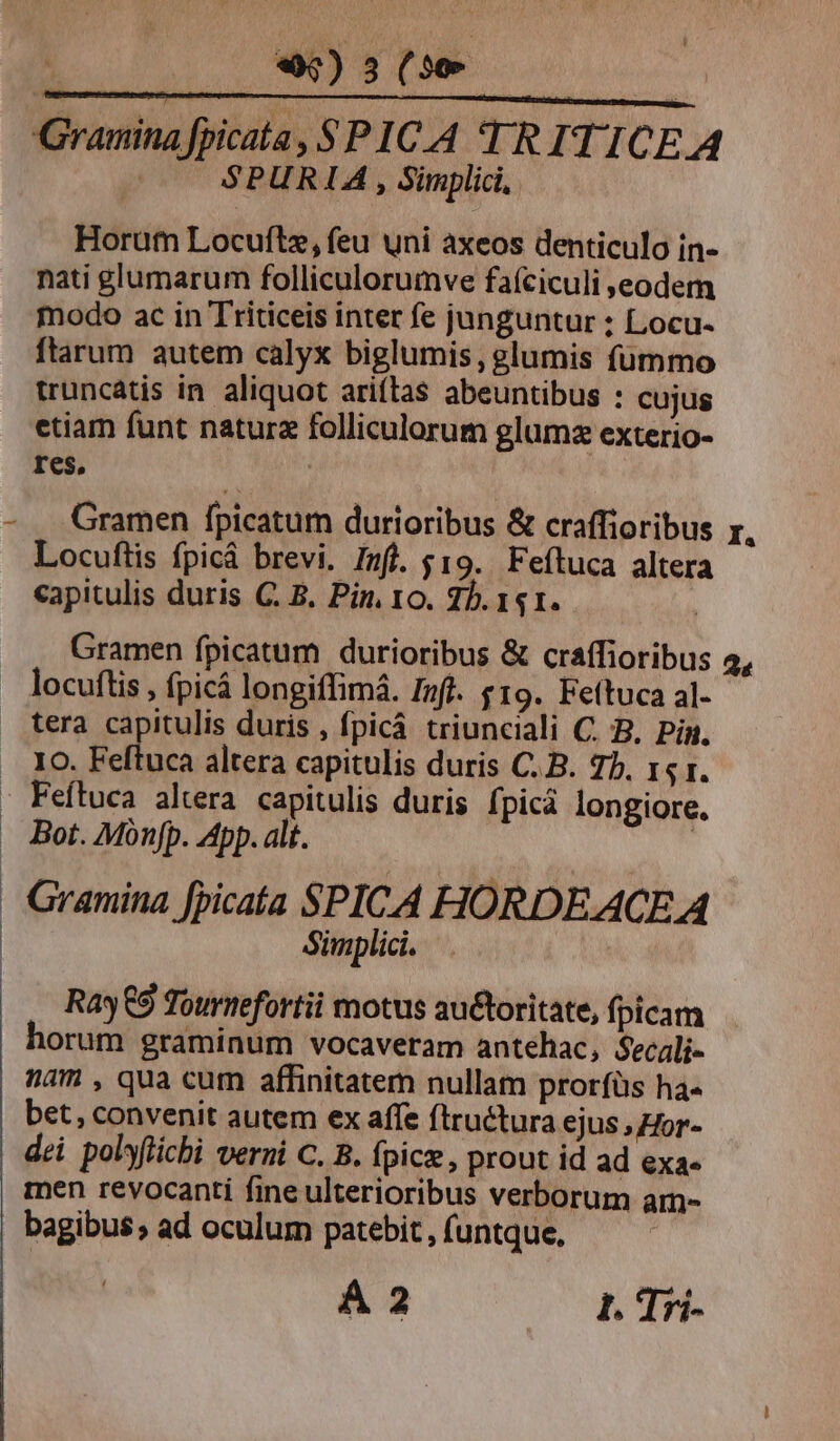 l 44) 5 (59 Granina fpicata, SPICA TRITICE A SPURIA , Simplii, Horütn Locuftz, feu uni axeos denticulo ín- nati glumarum folliculorumve faíciculi eodem ftarum autem calyx biglumis, glumis fümmo truncatis in aliquot ariftas abeuntibus : cujus etiam funt natura folliculorum glumz exterio- res, Gramen fpicatum durioribus &amp; craffioribus r, Locuftis fpicá brevi. Infl. $19. Feftuca altera capitulis duris C. B. Pin, 10. 7. 141. Gramen fpicatum durioribus &amp; craffioribus a, . Jocuftis, fpicá longiffimá. Inf. £19. Feítuca al- tera capitulis duris , fpicá triunciali C. B, Pig. . XO. Feftuca altera capitulis duris C.B. Tb, rs r. : Feftuca altera capitulis duris fpicá longiore. . Bot. Mónfp. App. alt. ' Gramina [picatía SPICA HORDEACE A Sinplici. Ray 9 Tournefortii motus au&amp;oritate, fpicam orum graminum vocaveram antehac, Secali- am , qua cum affinitatem nullam prorfüs ha« bet, convenit autem ex affe ftruétura ejus , Zor- dei polyficbi verni C. B. fpice , prout id ad exa- men revocanti fine ulterioribus verborum am- bagibus ; ad oculum patebit , (untque, Á 2 1. Tri-