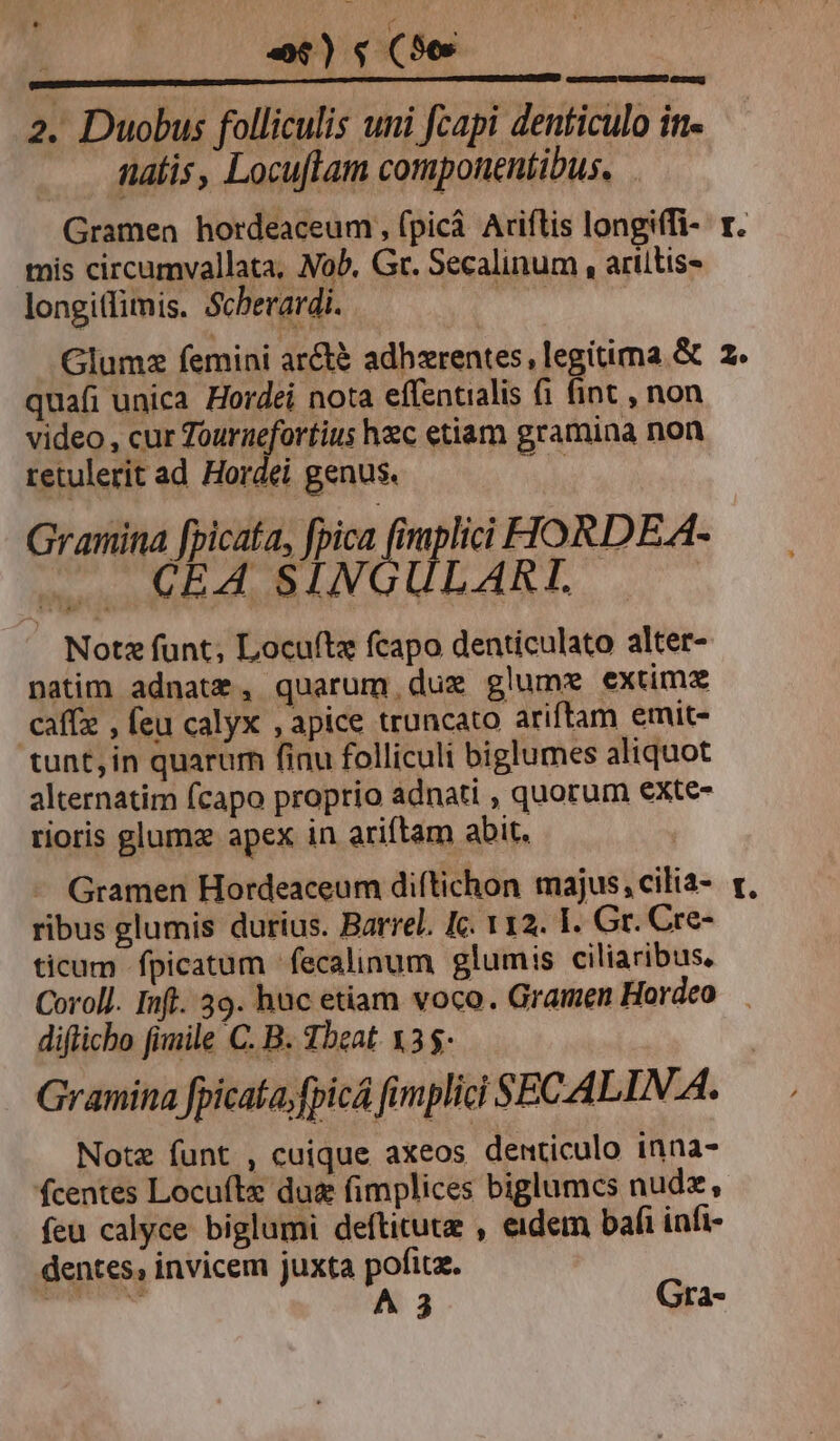 dec d 2. Duobus folliculis uni fcapi denticulo in nalis, Locuflam componentibus. Gramen hordeaceum , fpicá. Ariflis longiffi- mis circumvallata, Nob, Gr. Secalinum , ariitis- longiffimis. Scherardi. m Glumz femini ar&amp;t&amp; adhzrentes, legitima &amp; quafi unica Hordei nota effentialis fi fint , non video, cur oio gane hzc etiam gramina non retulerit ad Hordei genus. et Granina fpicata, fpica fimplici HORDE.A- ... €EA SINGULARI. Notz funt; Locuftz fcapo denticulato alter- natim adnatz, quarum. duz glume extima caffz , feu calyx , apice truncato ariftam emit- tunt, in quarum finu folliculi biglumes aliquot alternatim fcapo proprio adnati , quorum exte- rioris glumz apex in ariítam abit. - Gramen Hordeaceum diftichon majus, cilia- ribus glumis durius. Barrel. Ic. 112. 1. Gr. Cre- ticum fpicatum 'fecalinum glumis ciliaribus. Le. Ls] e difticbo fimile C. B. Tbeat. x35- Gramina fpicata,fpicá fimplici SECALIN A. Notz funt , cuique axeos denticulo inna- fcentes Locuítz dua fimplices biglumcs nudz, feu calyce biglumi deftitutz , eidem bafi infi- dentes, invicem juxta pofitz.