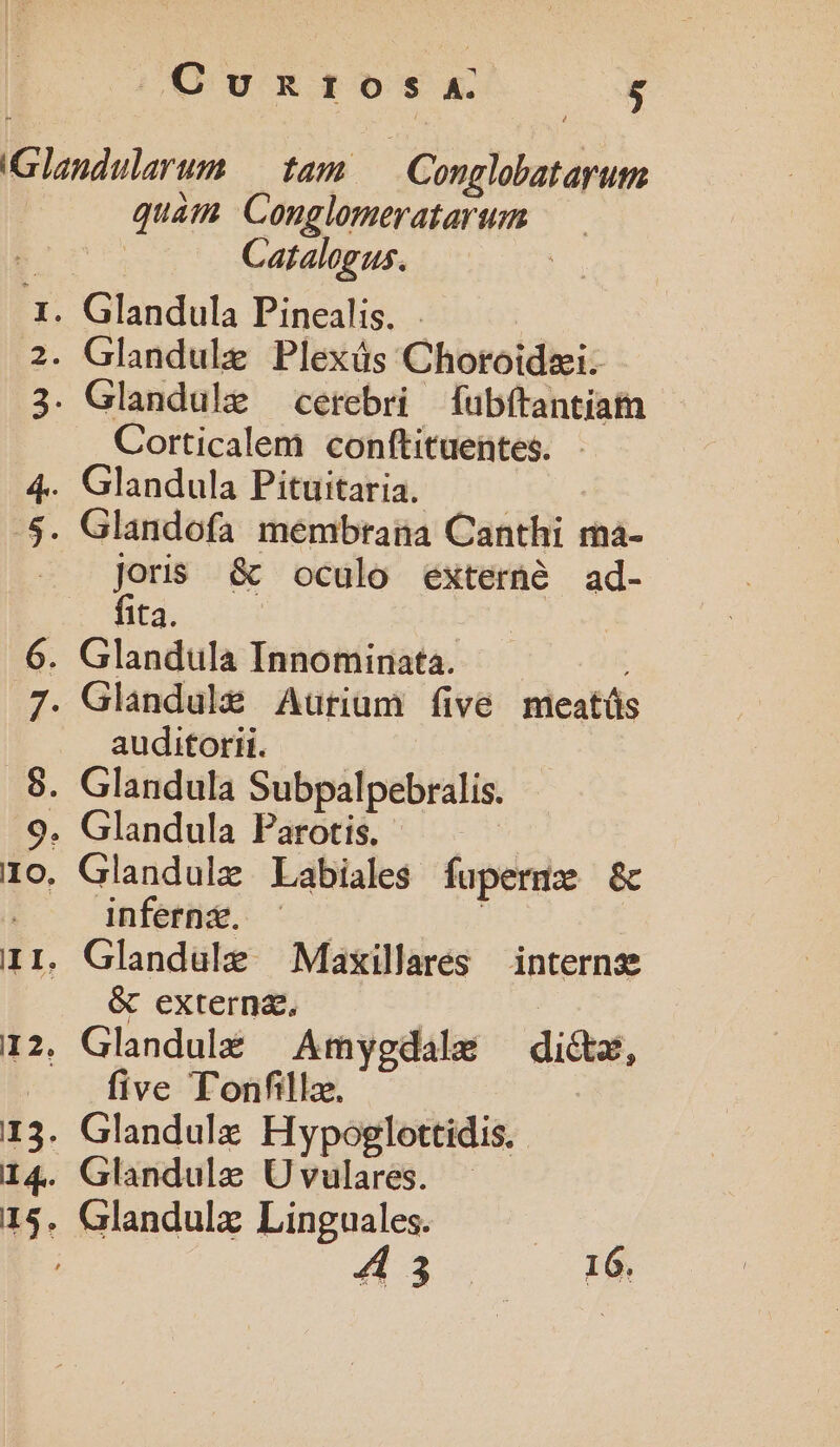 quàm Conglomeratarum Catalogus. Corticalem conf(titüentes. joris & oculo externe ad- fita. auditorii. inferna. & externa, five T'onfillz. Glandulz Linguales. | 4 3 16.