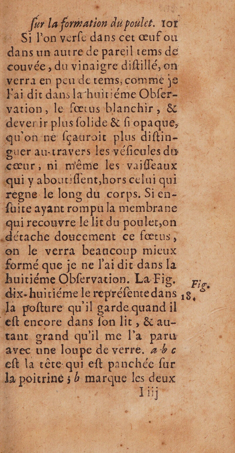 * A far La formation du poules. 10f dans un autre de pareil ems de + devenir plus folide &amp; f opaque, qu'on né fçauroic plus diftin- guer au-trav ers les véficules di cœur; ni même les vaifeaux «qui y abouriflent,hors celui qui régne. le long du corps. Sien- füite ayant rompu la membrane qui recouvre le lit du poulet,on «détache doucement ce fœtus, en le verra beaucoup mieux formé que je ne l'ai dit dans la huiriéme Obfervation. La Fio, dix-huiriéme le repréfènte dans Ja pofture qu'il gardequandil eft encore dans fon lit , &amp; au- avec une loupe de verre. 2% c eft la cère qui eft panchée fur LE Î F5j
