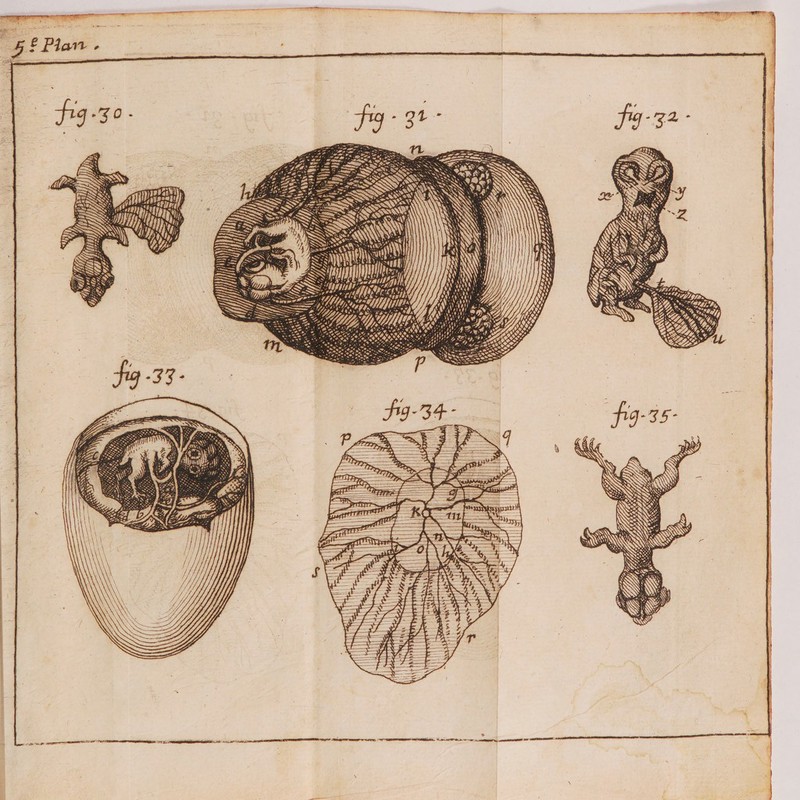 L11 A LS æ À ILIDLI LIL LL Q 22 STE 2SC2 2 RSS S F7 CPS mn: DL K X7 LORS 2 | | : SN es À | « us. à 18: SAVE | = Ù = a X fi | k f | ll | Ê Le: Ÿ |. | | L | 4 1 » né a a EPP ER =