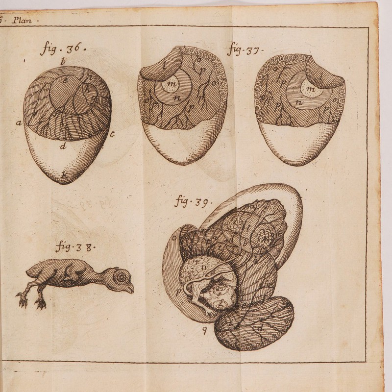 or PE SES Re MA se L RS ER À Z ss ==—- ER POLE Æ 7 PS D