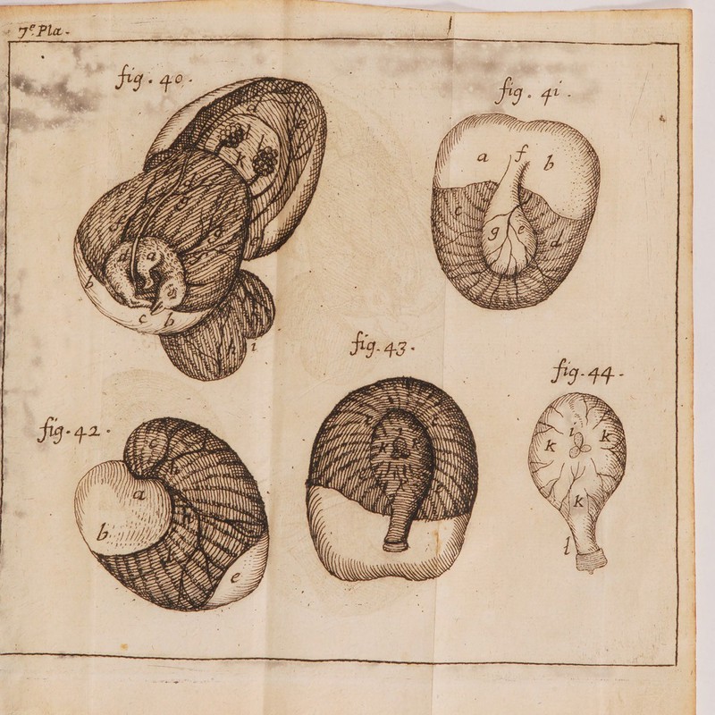 SES £ S SSSR LZ SES um ON 22 AS = Se: + = fo 222 SN VER NN \\ À pp Ve À UE f a D D mu om | mie made um à © at x us -aliirmten da « mu ee Lai it ni