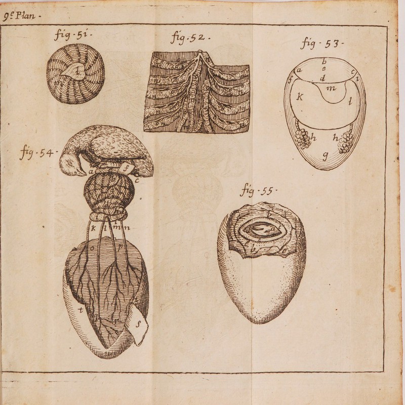 RUE eee NC EE Si ES RD Hit 24 De “HMS à De DU DS Qi ( L ; | À QU If FE La 2 r Le ak : LL 1 y EN EE — | | Il ee il oi = Aa , RÉANN Vs Cr | enr Ent ur ||
