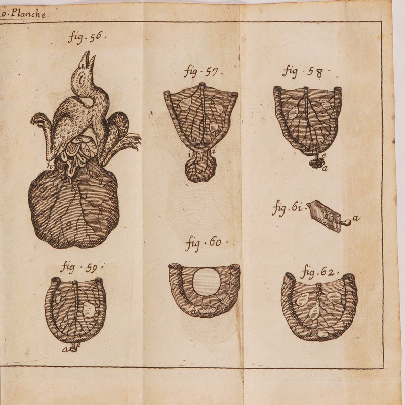 — == EP RéResee Mr S E 7: ARC CH où AT | ; A) gl j ji ) à GS À Do Dr on JU | nd SS li (n : + _ RANSCANRC nn : y jo E RSS ; + e | Ç ; D | E, | jé +. j} | : , Al { il $ Q D. | Lt ii Vs | SAN . vi an : : NAN at ‘ie : | | | | | ui) Foÿ 4 j mr Ji . 1 &amp; s #4] up | SEE y am | ji 1m, En sn nt [é F “fé li} en LA ann “. A | 1 2 | È | “ Le È : su | PRE ee Ces
