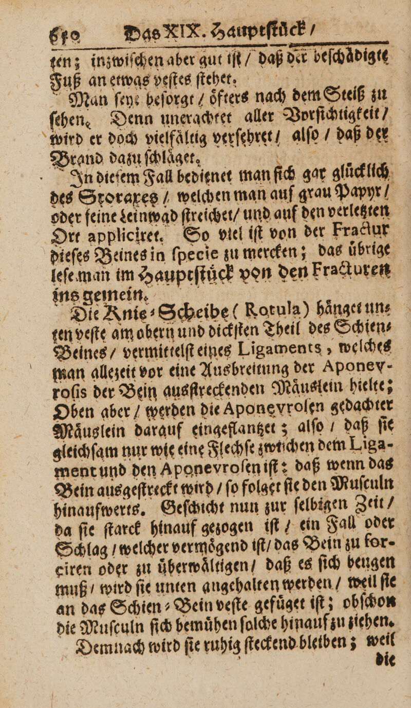 \ ten; inzwiſchen aber gut iſt / daß der beſchaͤdigte Man ſeye beſorgt / öfters nach dem Steiß zu ſehen. Denn unerachtet aller Vyrfichuigkeit wird er doch vielfaͤltig verſehret / alſo / daß der Brand dazu ſchlaͤget, S In dieſem Fall bedienet man ſich gar glücklich des Storaxes / welchen man auf grau Papyr/ oder feine dein wad ſtreichet / und auf den verletzten Ort applicirer, So viel iſt von der Fradur dieſes Beines in fpeeie zu mercken; das uͤbrige leſe man im Hauptſtůck von den kracturen ins gemein | Die Knie⸗Scheibe ( Rorula) hänger uns ten veſte am obern und dickſten Theil des Schien⸗ Beines / vermittelſt eines Ligaments , welches man allezeit vor eine Ausbreitung der Apone n. rofis der Bein ausfireckenden Maͤuslein hielte; Oben aber / werden die Apongvrolen gedachter Maͤuslein darauf eingeflantzet; alſo / daß ſie gleichfam nur wie eine Flechſe zwichen dem Lisa. ment und den Aponevroſen iſt: daß wenn das Bein ausgeſtreckt wird / fo folget fie den Muſculn hinaufwerts. Geſchicht nun zur ſelbigen Zeit / da fie ſtarck hinauf gezogen iſt / ein Fall oder Schlag / welcher vermoͤgend iſt / das Bein zu for- eiren oder zu uͤberwaͤltigen / daß es ſich beugen muß / wird ſie unten angehalten werden / weil ſie an das Schien⸗ Bein veſte gefuͤget it; obſchon die Muſculn ſich bemühen ſolche hinauf zu ziehen. Demnach wird fie ruhig ſteckend bleiben; u 8 l €