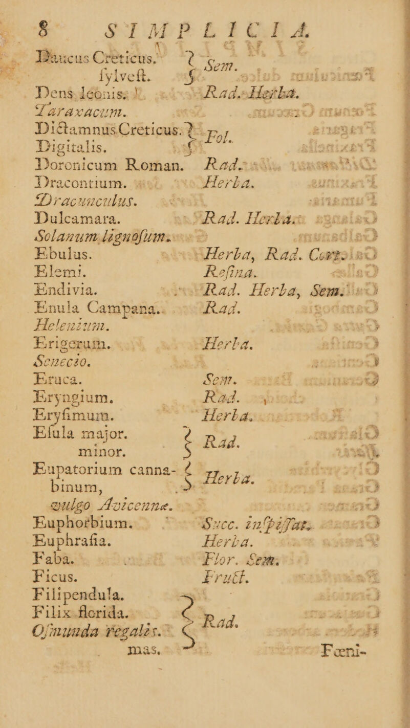) d. Ww d Thuicus ChbicusM Íylveft. JVJaraxacunm. Digitalis. Dracontium. 3 :Dracuuculus. Dulcamara. Ebulus. Elem. Enula Campana... Heleizum. Erigerum. Senecao. Eraca. Eryngium. c. ula major. minor. Eupatorium canna- binum, Euphorbium. . Euphrafia. Faba. | Ficus. Filipendula. Filix.florida. Ofnuuda regales. maás. ix Sem. wp. gulusiot Rad. latini. 34 E TET S19, trn i50 4 de x RULBWME da : Fal. E. e Rad. - T d N YT Herba. Unix Rad. Hesda. 28 £i IU SGLES Herba Ra4. Cort r^ o Refina. eullozy AR. Herza, Semi: qg - Raj. Dp son dini nfi Máy. ziizÉl oa . Rad. a 041 v: Herka. CHsi13240€ An e Rad. — B —1 67 ^ti 25 E Heria. aat ^ 35 4ZCC. infpifiats ISEGETC Herba. suem wen dior. Sem. | EFrautt. 2 ;K -  - J Rad.