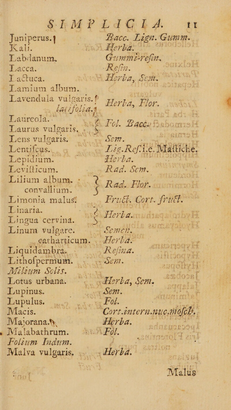 Juniperus. Kali. Labdanum. qe Lach esl album. Lavendula vuls garis. f D i ifol ia. !4 Laureola.' | Laurus vulgaris, has es Lens vulgaris. - Sem. Lentifcus. x és. Ref. : datae Lepidium. Herba. 7 Leviílicum. Rad. Sem. OSA Lilium album. : 0 p, py sut convalltum. y Limonia malus: .. Frutt. Cort. frutt. Angua cervind. |. $ qe Eat uim Linum. vulgate.- «^, 4 Semez. T eatharticum. . uerba ead Liquidambra. y Refina. Yo Lithofpermum. Aso O6fft. T CHTER AMzlzum Solzy. —...s&amp; pu. Lotus urbana. - : rad Sen. Lupinus. (Sen. Va Lupulus. xx Pal. DES. Macis. Cort.interu.tue, vidi Maorana.. LLL APR y ue Ma!abathrum. ^.For. reum 531 Folium fadum. Malva vulgaris. IT aM Gumm.. Lern j Gi nre Noon x Horba, eam. NE Herb 2 » lr. Ful. LOU. H» P às 1