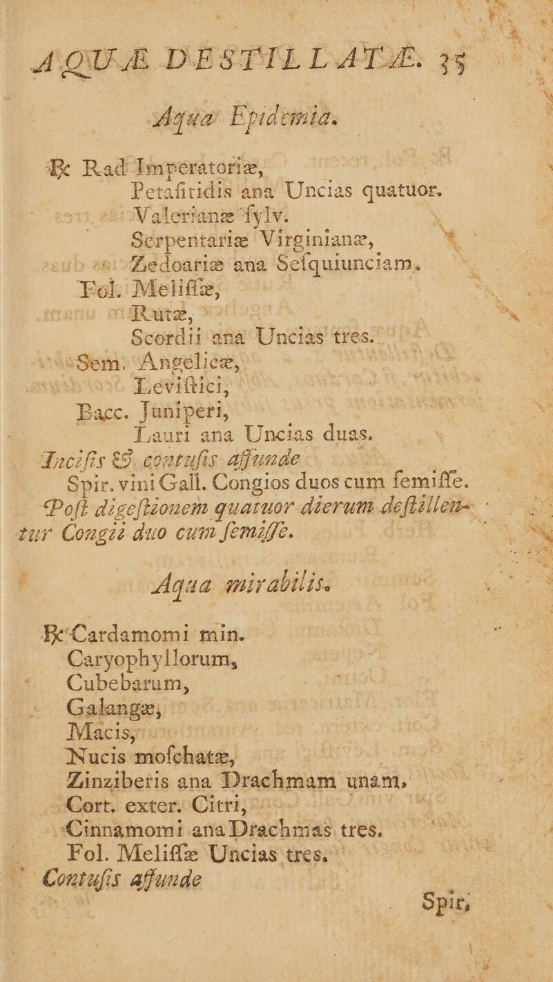 AQU.E DESTILLATAE. 3$. ua Epidemia. qx Rad Imperatori, Petafitidis ana Uncias quatiüor. Valerian dylv. i Serpenta wig Virginlanz, x /5:Zedoarie ana Seíquiunciam. | Ecl Meliffz, LS ips Scordi! ana Uncias tres. Sem. Anseliez, Leviftici, Bacc. Janiperi, Lauri ana Uncias duas. ducifis £9. contufis affunde Spir. vini Gall. Congios duos cum femiffe. —. *Poft dige[isouem quaruor dierum. deftilleu-. - zur Congeii duo cum femiffe. k Aqua nir alilis. Be Cardamomi min. Caryophyllorum, Cubebarum, Galangz, Macisy: ONucis mofchatz, Zinziberis ana Drachmam unán, Cort. exter. Cittri, Y. Cinnamomti ana Drachmas tres. Fol. Meliffz Uncias tres. ^ ! Conti U Affuude Spit,