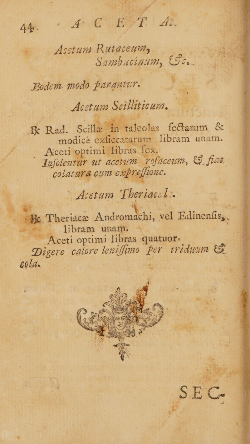 p | hs » Tn p MEE d ES VE ES w4o0 5 4deetum Rataceum, ul - , Sambaciatitty (Ur... EON Eodei- modo parantur. , uu ^ boy | Acetum Solltieun. * qus Mn ir eT &amp; Aum. libram unam. | ES Rad. Scilli | . modice exft« foo Need timi libr Jofolentur ut aceti  j Oe A L 7L ^ deetum Theriac.L TR UMP -.Androma hi, vel Edinenfa, | ev. libram unam A 3 | ceti optimi libras quatuor. 3 QDigere calore leuzffumo fer triduum c 3 cola.