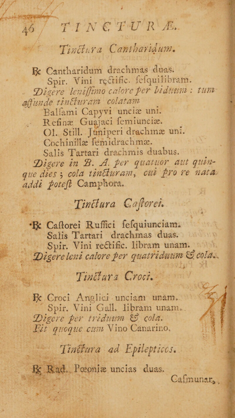 45, »$* — Tigzüdura Camibavidum.- Be Cantharidum drachmas duas. : Spir. Vini re&amp;ific. fefquilibram. gere leniffüno calore per. badema : tum afunde tintturam | colatam | ! Balfami Capyvi unciz uni. Refinz Guajaci femiunciz. OI. Still. Jüniperi drachms un:. - 5 v €ochinilla fémidrachmz. | | Salis Tartari drachmis duabus. -SDigere im B. A. per quatuor aut quém- que dies 5 cola téutiuram, cui $rore uata addi foref. Camphora. ue 3 Hy Tintiura Gafhorei. Eras | UT | *K Caflorei Ruffici fefquiunciam. - '. Salis Tartari drachmas duas. E T ^^ Spir. Vini rectific. libram unam. 3 73 [a^ 15: * . EI x  s Digrre leni calore fer quatridutim &amp;9 cola. iig. dévqiMeA d rV ^ (Té. voa b d $i NN 1! .J9ATÀ Croci..- 1: 8 A p iet ^ ^ | H cos igere per triduum 89. cola. (o0 0 MEE queque cuim Vino Canarino. de. LP i *- LE Ex E ul C AQ Ex EO 2 4 VERE IUS oma 'Linéfar (9h pw re Ht ; LEAN No DX IXOQ.. Po nie unclas duas. Mes ovr . x UE A v $ o geli to E SUM V dice . Cafmunsr,,.