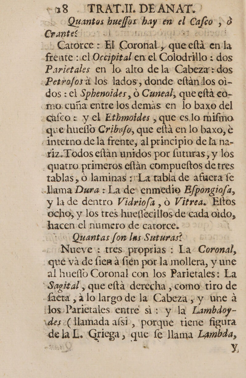 +18 . TRAT.IL DEANAT. Quantos hmfjos las en ha el y 9 Craptez 1 y Catorce: Bl Coronal., y pa ef en ha frente el Occipital en el Colodrillo : dos Parietales en lo alta de la Cabeza: dos ¿Petrofos a los lados, donde eftandos oj- dos : el Sphenmoides, O Cuneal, que eltá co- mo. cuña entre los demas en lo baxo del «Gíco : y el Ethmoides , que es.lo mifmo. que hueílo Cribofo, que eftá en lo baxo, € «interno dela frente, al principio de la na- riz-Todos eftan unidos por futuras, y los -QuUAtro. primeros eftán compueftos detres tablas, O laminas :La tabla de afuera fe «Hama Daro&lt;La de: enmedio E/pongiofa, y la de dentro Vidriofa , o Vitrea. Eltos ocho, y los tres hueflecillos decada sido, hacen el numero de catorce. Quantas fon las Suturas?- Nave : tres proprias : La: Coronal, qué va de lien a fién por la mollera, y une al hueflo Coronal con los Parietales: La Sagital , que elta derecha ,como: tiro de facra , 2 lo largo de la Cabeza. y y une a JJos»Parictales entre si: y la Lambdoy- des ( Mamada aísi-, porque tiene figura de er Griega, que le llama Lambda, y,