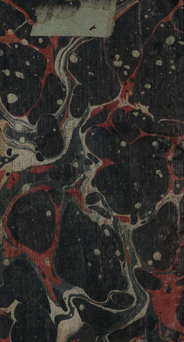 digitised image 2