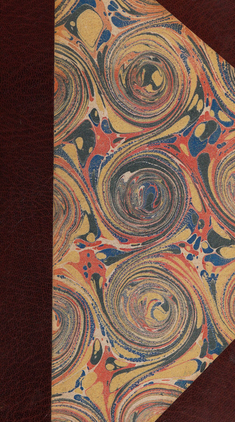 No text description is available for this image