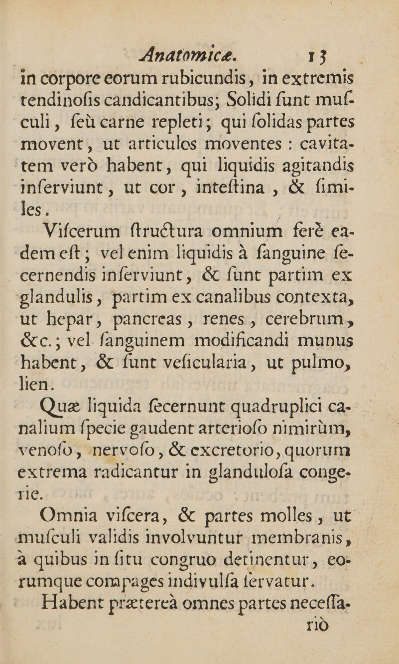 in corpore eorum rubicundis, in extremis tendinofis candicantibus; Solidi funt muf- culi, feü carne repleti; qui folidas partes movent, ut articuleos moventes : cavita- tem veró habent, qui liquidis agitandis inferviunt, ut cor , inteftina , &amp; fimi- les. | Vifcerum ftructura omnium feré ea- dem eft; vel enim liquidis à fanguine fe- cernendis inferviunt, &amp; funt partim ex glandulis, partim ex canalibus contexta, ut hepar, pancreas , renes , cerebrum, &amp;c.; vel fanguinem modificandi munus habent, &amp; funt veficularia, ut pulmo, lien. Quz liquida fecernunt quadruplici ca- nalium fpecie gaudent arteriofo nimirüm, venofo, nervofo , &amp; excretorio, quorum extrema radicantur in glandulofa conge- re. Omnia vifcera, &amp; partes molles , ut mufículi validis involvuntur. membranis, à quibus in fitu congruo detinentur, eo- rumque compages indivulfa tervatur. Habent prztereà omnes partes neceffa- riÓ