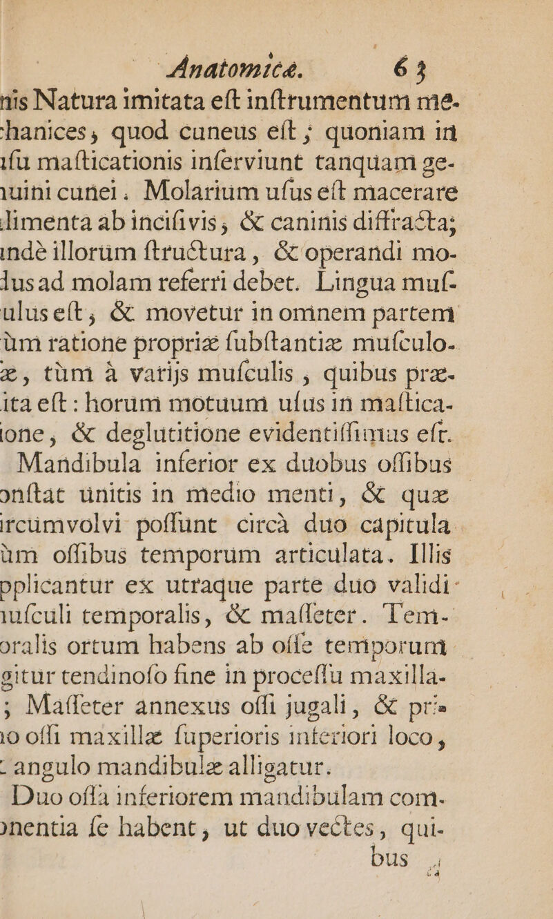 nis Natura imitata eft in(trumentum me. hanices, quod cuneus e(t ; quoniam in ifu mafíticationis inferviunt tanquam ge- uinicunei. Molarium ufus e(t macerare limenta ab incifivis, &amp; caninis diffrazta; inde illorüm ftructura ,, &amp; operandi mo- lusad molam referri debet. Lingua muf- uluseít,; &amp; movetur in ominem partem. üm ratione propria fub(ítantize mufculo-. 7, tüm à varijs mufculis , quibus prz- ita eft: horum motuum ufus 1n maftica- one, &amp; deglutitione evidentiífimas eft. Mandibula inferior ex duobus offibus onftat units in medio menti, &amp; quz ircümvolvi poffunt circà duo capitula - üm offibus temporum articulata. Illis oplicantur ex utraque parte duo validi- iufculi temporalis, &amp; ma(leter. Tem- oralis ortum habens ab oífe temporum | gitur tendinofo fine in proceffu maxilla- ; Maffeter annexus offi jugali, &amp; pr? io offi maxilla fuperioris interiori loco, - angulo mandibulz alligatur. Duo ofla inferiorem mandibulam com. nentia fe habent, ut duo vectes, qui- bus