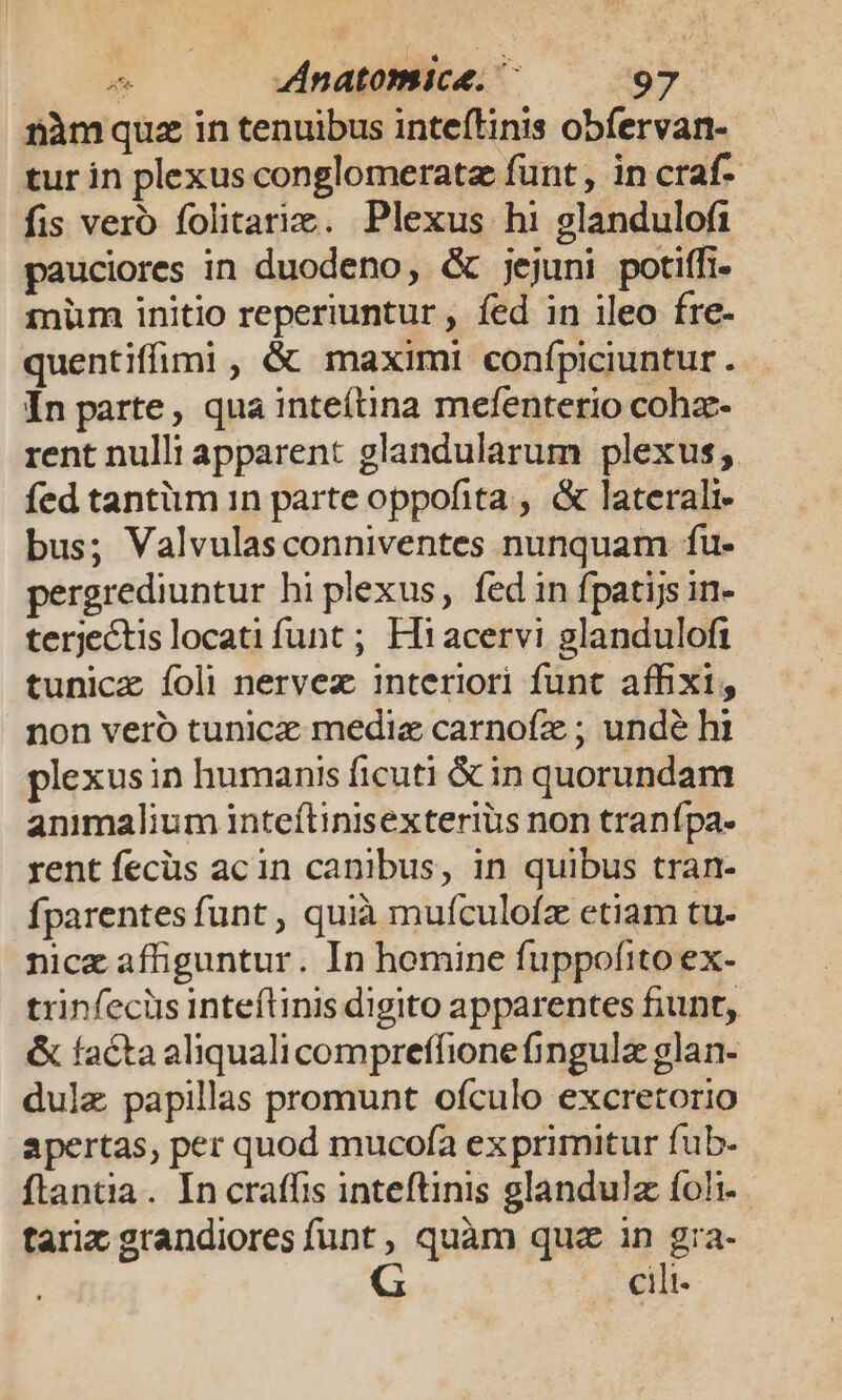 nàmquez in tenuibus inteftinis obfervan- tur in plexus conglomeratz funt, in craf- fis vero folitariz. Plexus hi glandulofi pauciores in duodeno, &amp; jejuni potiffi. inüm initio reperiuntur , fed in ileo fre- quentiffimi , &amp; maximi confpiciuntur . Ín parte, qua inteítina mefenterio cohz- rent nulli apparent glandularum plexus; fed tantum 1n parte oppofita , &amp; laterali bus; Valvulasconniventes nunquam fu- pergrediuntur hi plexus, fed in fpatijs in- terjectis locati funt ; Hi acervi glandulofi tunicz Ííoli nervez interiori funt affixi, non veró tunicz medie carnofz ; undé hi plexus in humanis ficuti &amp; in quorundam animalium inteítinisexteriüs non tranípa- rent fecüs acin canibus, in quibus tran- fparentes funt , quià mufculofz etiam tu- nice affiguntur. In homine fuppofito ex- trinfecüs inteílinis digito apparentes fiunt, &amp; facta aliquali compreffione (ingulz glan- dulz papillas promunt oículo excretorio apertas, per quod mucofa exprimitur fub. flantia. In craffis inteftinis glandulz íoli- tarixz grandiores funt, quàm quz in - cili.