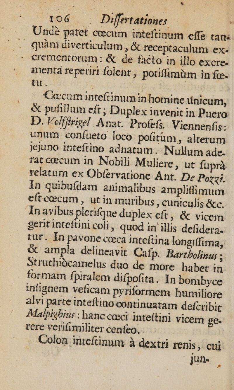 * 106 — Differtationes Bu. Undé patet cccum inteftinum effe tans. . quàm diverticulum , &amp; receptaculum ex- - crementorum: &amp; de facto in illo excre- menta reperiri folent , potiffimüm in fc. tu. hg | ! Cocum inteftinumin homine tínicum, « pufillum eft ; Duplex invenit in Puero D. Volffivige! Anat. Profefs. Viennenfis: unum confueto loco pofitüm, alterum jejuno inteftino adnatum..N ullum ade- ratcoecum in Nobili Muliere, ut fuprà relatum ex Obfervatione Ant. De Pozzi. In quibufdam animalibus ampliffimum eftceecum , utin muribus cuniculis &amp;c. In avibus plerifque duplex eft, &amp; vicem gerit inteftini coli, quod in illis defidera. tur. In pavone cceca inteftina longiffima, &amp; ampla delineavit Cafp. Bartbolinu; ;. 5truthiócamelus duo de more habet in formam fpiralem difpofita. In bombyce infignem veficam pyriformem humiliore alvi parte inteftino continuatam defcribit Malpisbius : hanc ceci inteftini vicem ge- rere verifimiliter cenfeo. . Colon inteftinum à dextti renis, cui Jun.