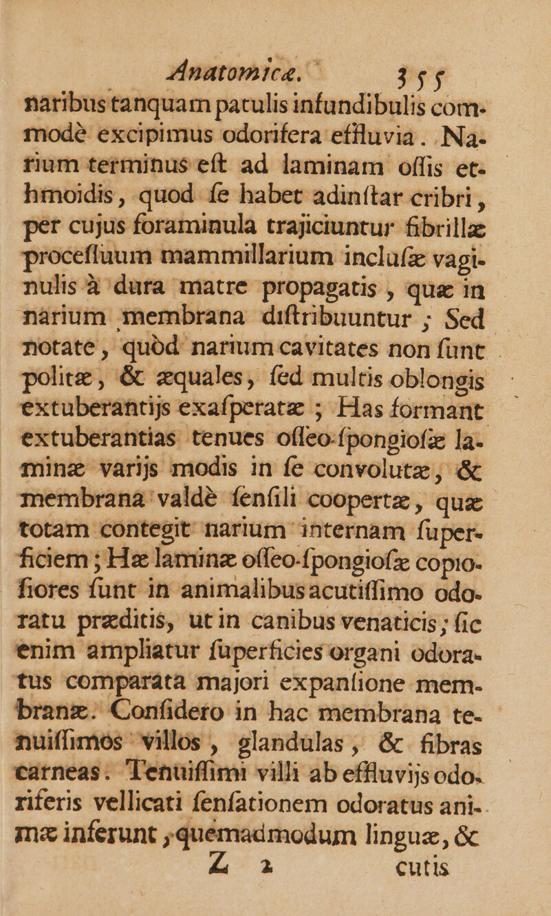 Anatomtca, j naribus tanquam patulis infundibulis com- modé excipimus odorifera efiluvia ..Na- rium terminus eft ad laminam offis et- hmoidis, quod. fe habet adinttar cribri , per cujus foraminula trajiciuntur fibrilla proceffuum mammillarium incluía vagi- nulis à dura matre propagatis , qua in narium membrana diftribuuntur ; Sed. notate, quód narium cavitates non fünt . polite , &amp; zquales, íed multis oblongis extuberantijs exafperatz ; Has formant: extuberantias tenues ofleo-fpongiofz la- minz varijs modis in fe convolutze, &amp; membrana valdé fenfili coopertz , qua totam contegit narium internam fuper- ficiem ; Hz laminz offeo-fpongiofze copio. fiores funt in animalibusacutitfimo odo. ratu przditi$, utin canibus venaticis; fic enim ampliatur füperficies organi odora- tus comparata majori expaníione mem- branz. Confidero in hac membrana te- - nuiffimos villos , glandulas, G&amp; fibras carneas. lenuiffimi villi ab effluvijs odo. riferis vellicati fenfationem odoratus ani.. m inferunt quemadmodum lingue, &amp; 2 cutis