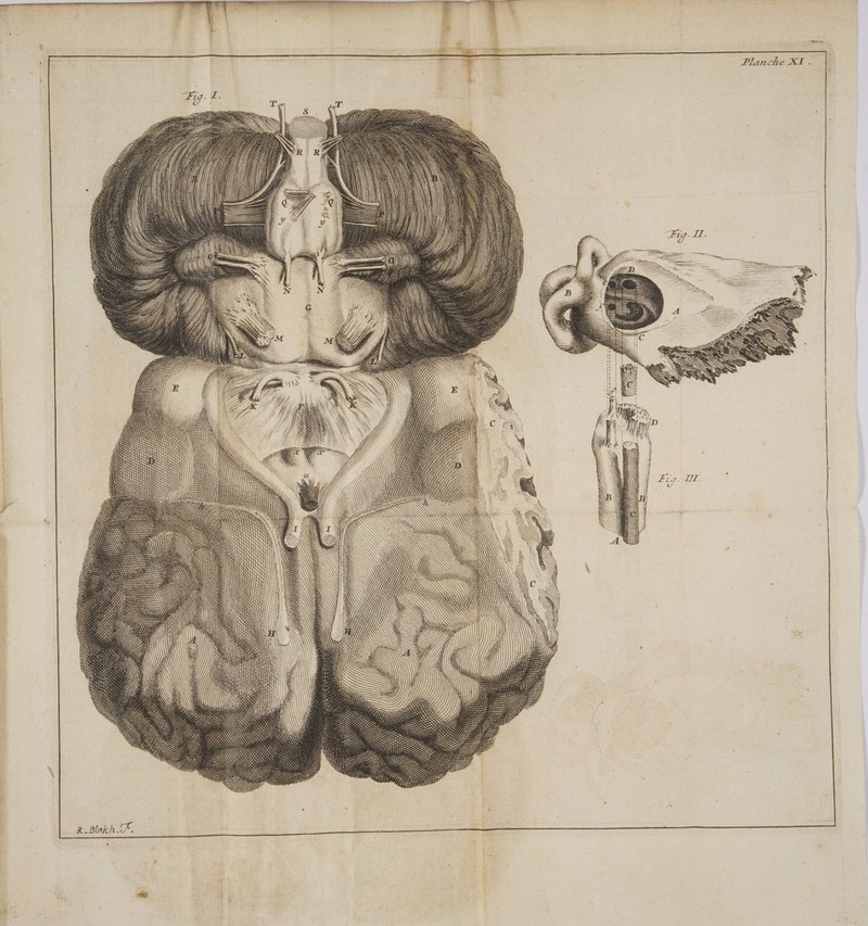 D 2 Planche Ée » : 7 = | | = , LA RL SEL ES R.Blokh.T.