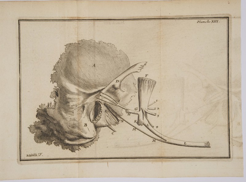 PE. be Le d TE ses hier CYSÉ CAS IPN, 57 F, 28 3] ER . . \\ \ a ANS