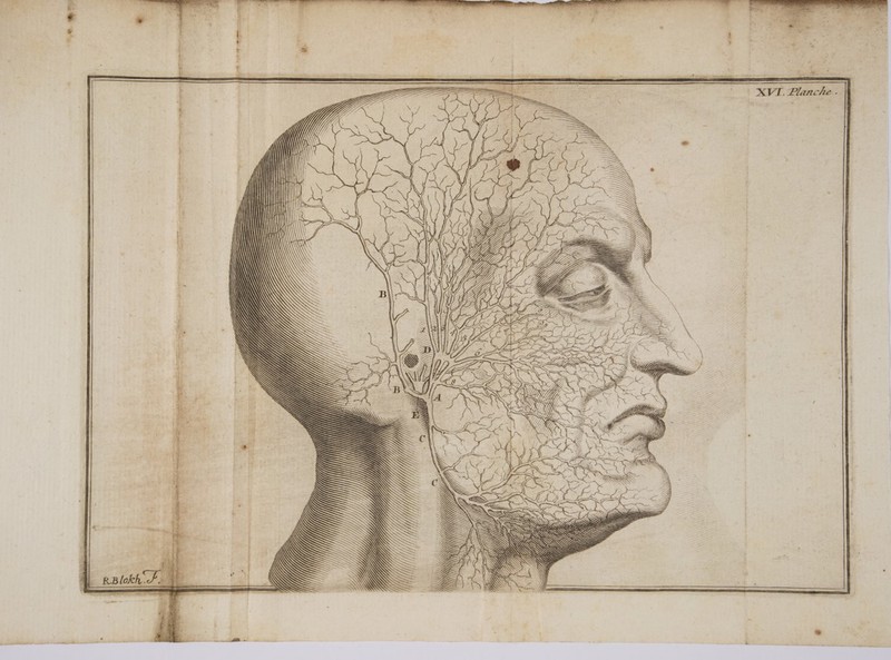 eu PT 2 T0, ùt AA Ne \ _ = &amp; . = : \ + Le - mes N À = . \ = Æ = D 1 gl — \ 4 M AR N | \à LR) A So SE db. Ë SE 2 Eu TN TT on Te ES — ane = ali ne 670 #1, / Nr