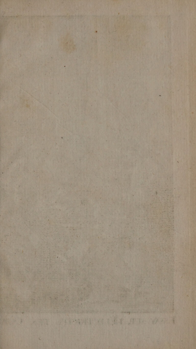 À Bus Dos HN ELLE LS 2e