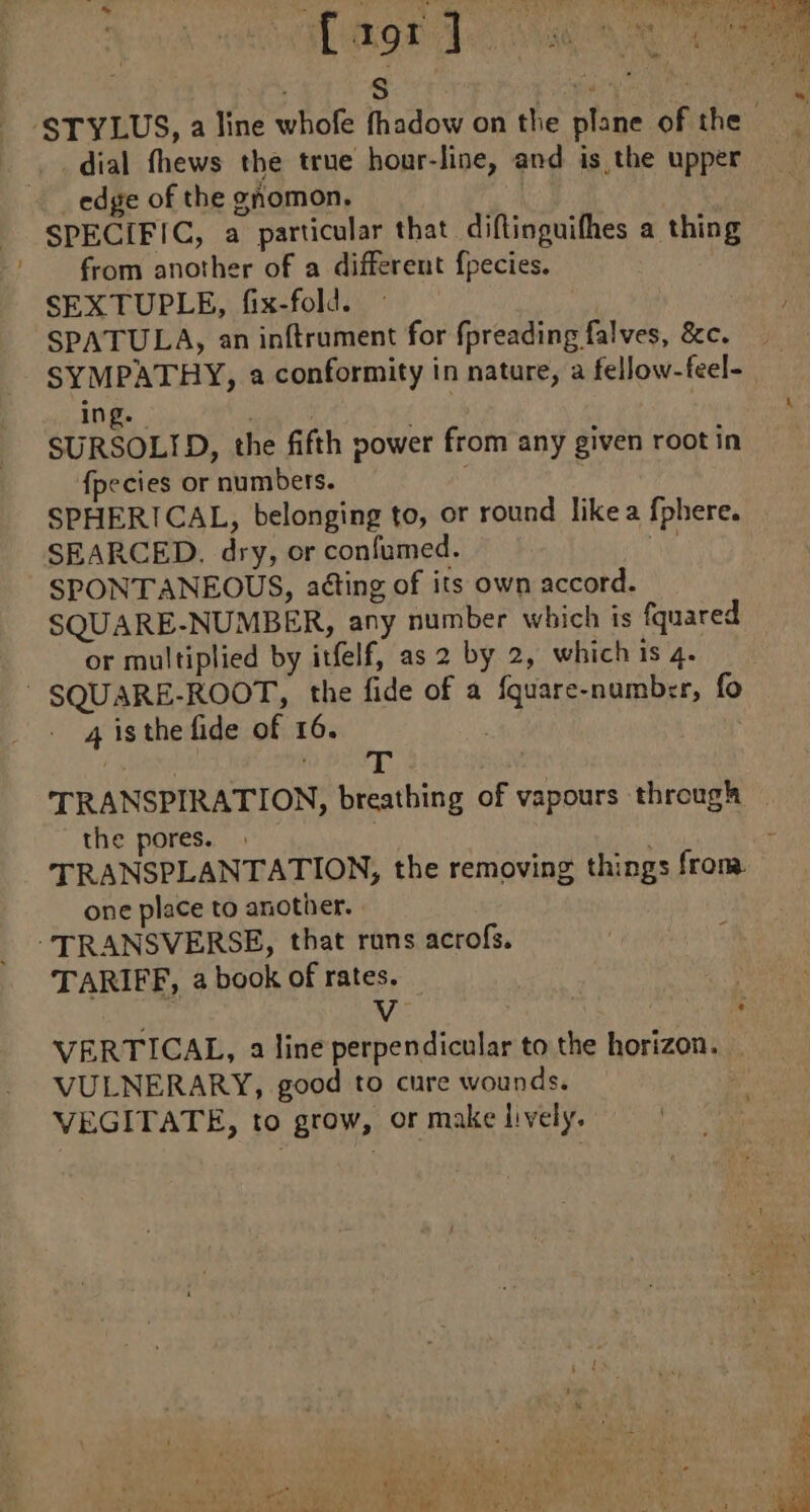 dial fhews the true hour-line, and is the upper _ edge of the ghomon. SPECIFIC, a particular that diftinguifhes a thing from another of a different fpecies. SEX TUPLE, fix-fold. SPATULA, an inftrument for fpreading falves, &c. ing. nena | SURSOLID, the fifth power from any given root in fpecies or numbers. | SPHERICAL, belonging to, or round like a fphere. SEARCED. dry, or confumed. ays SPONTANEOUS, ating of its own accord. SQUARE-NUMBER, any number which is fquared or multiplied by itfelf, as 2 by 2, which is 4. SQUARE-ROOT, the fide of a {quare-number, fo 4 is the fide of 16. the pores. one place to another. “TRANSVERSE, that rans acrofs. TARIFF, a book of rates. Vv VERTICAL, a line perpendicular to the horizon. VULNERARY, good to cure wounds. VEGITATE, to grow, or make lively. dt a