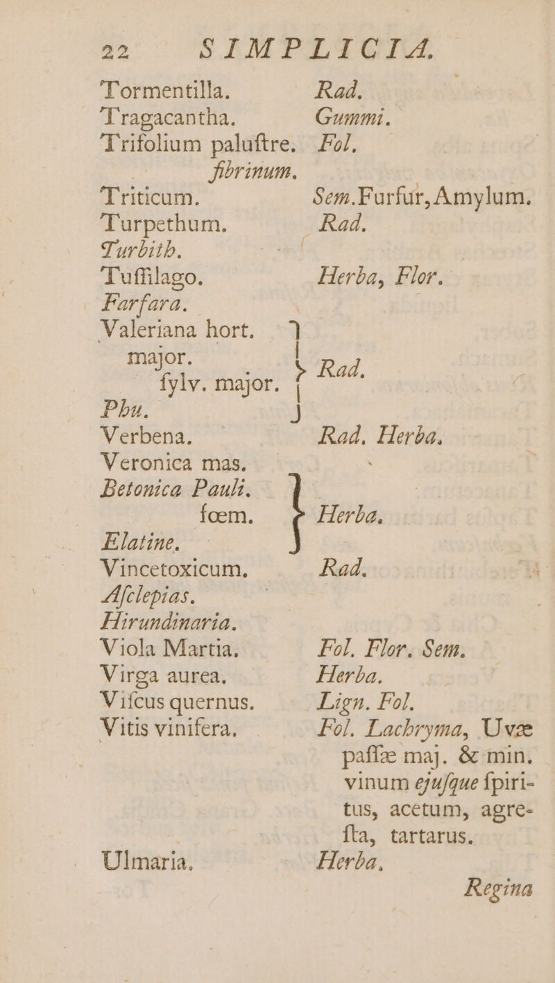 'Tormentilla. Rad. Tragacantha. Gummi. Trifolium paluftre. Fz. : Jierinum. Triticum. Sem.Furfur, Amylum. Turpethum. . Rad. Turbitb. is | Tuffilago. Herba, Flor. Farfara. | Valeriana hort. ] major fylv. major. 1 Pu Pha. J Verbena. Rad. Heréa. Veronica mas. Betonica Pauli. foem. Herba. Elatine. Vincetoxicum. Rad. Afclepias. | Hirundinaria. Viola Martia. Fol. Flor. Sem. Virga aurea. Herba. V ifcus quernus. Lign. Fol. Vitis vinifera, Fol. Lacbryma, Uvze paffae maj. &amp; min. vinum 6/u/que fpiri- tus, acetum, agre- fta, tartarus. Ulmaria. Herba, Regina