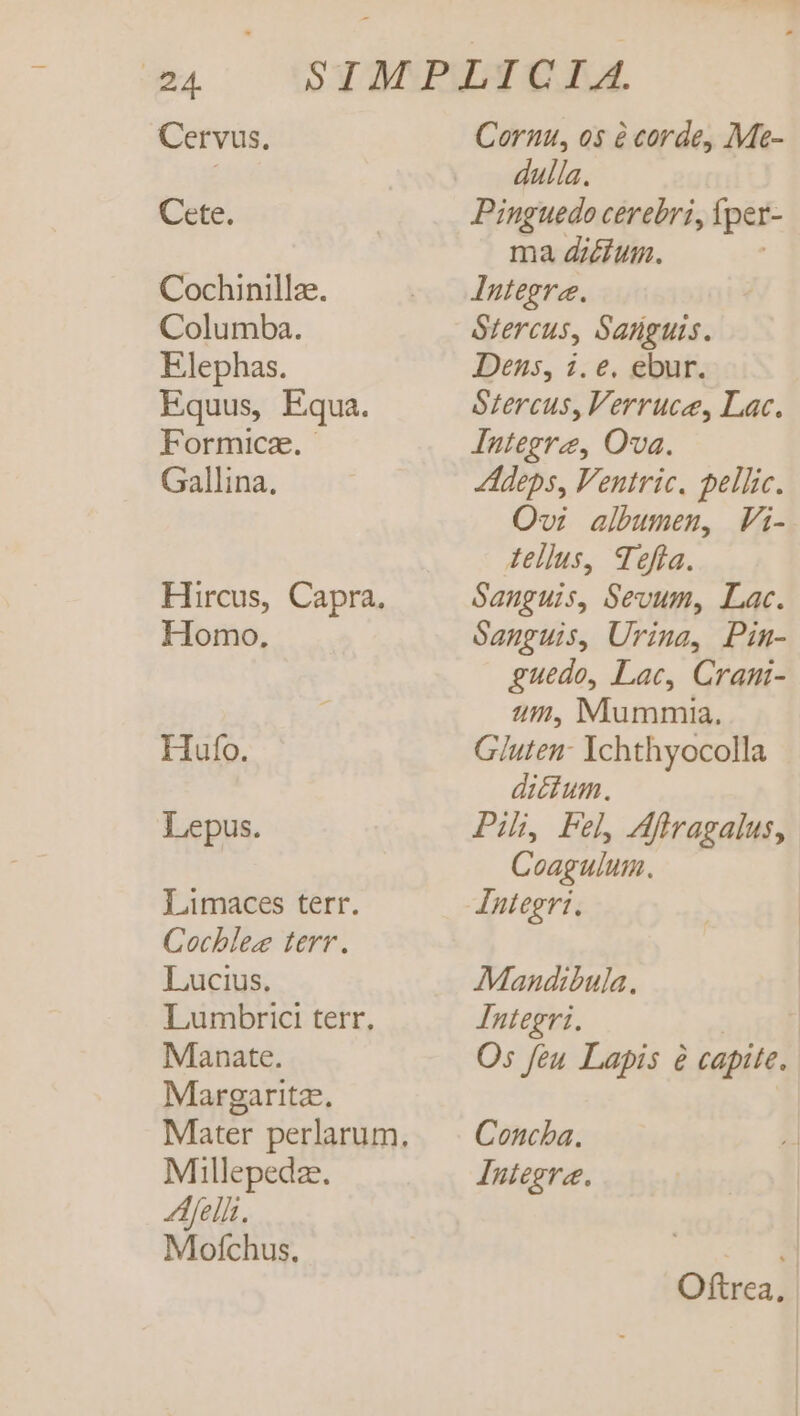 Cete. Cochinillae. Columba. Elephas. Equus, Equa. Formica. - Gallina, Hircus, Capra. Homo. Hufo. Lepus. Limaces terr. Cocblez terr. Lucius. Lumbrici terr, Manate. Margarita. Millepedae. Afelli. Mofchus. dulla. Pinguedo cerebri, [pei r- ma di£fum. Integre. Stercus, Sanguis. Dens, i. e. ebur. Stercus, Verruce, Lac. Integre, Ova. dLldeps, Ventric. pellic. Ovi albumen, FVi- Aellus, Tefla. Sanguis, Sevum, Lac. Sanguis, Urina, Pin- guedo, Lac, Crani- um, Mummia. Gluten: Ychthyocolla dictum. Pih, Fel Afiragalus, Coagulum. Jntegri. Mandibula, Integri. O5 feu Lapis &amp; capite. Concha. Integre. Oüxea] |