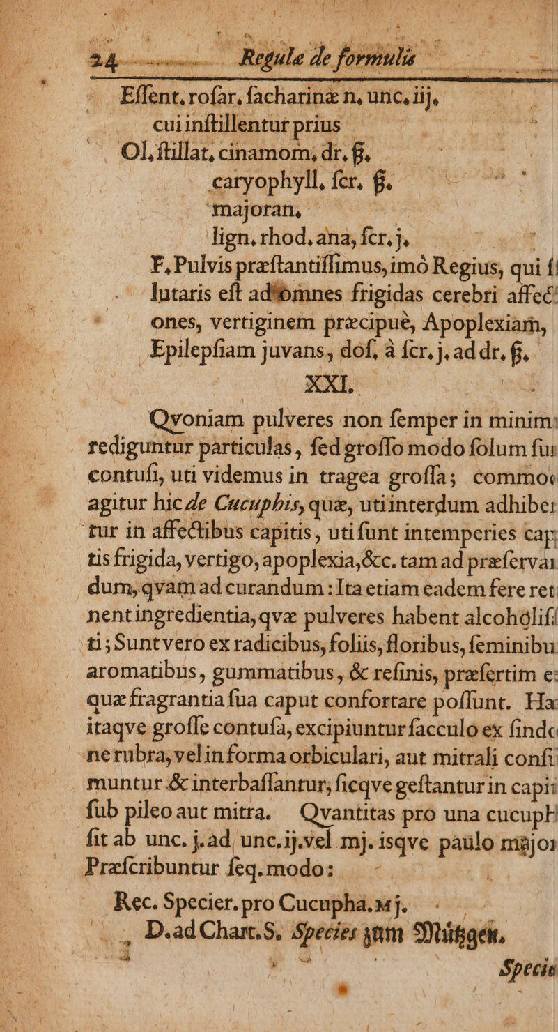PY r i La omues Eflent. rofar, facharina n, unc. iij, NE .. cuiinflillenturprius - .. Ol.füillat, cinamom, dr. f. - «aryophyllfcr. f.— — majoran, A ^ | lign, rhod, ana, fcr. j, A vL. F, Pulvispraftantiffimus, imó Regius, qui f. lutaris eft ad'ómnes frigidas cerebri affec * — ones, vertiginem precipue, Apoplexiarm, .Épilepfiam juvans, dof, à fcr. j. ad dr, 6, Qvoniam pulveres non femper in minim: contufi, uti videmus in tragea groffa; commo: agitur hic Ze Cucupbis, qui, utiinterdum adhibe: tisfrigida vertigo, apoplexia,&amp;c. tam ad preefervai nentingredientia, qva pulveres habent alcoholifi ti; Suntvero ex radicibus, foliis, floribus, feminibu aromatibus, gummatibus, &amp; refinis, prefertitm e: quz fragrantia fua caput confortare poffunt. Ha. itaqve grofle contuía, excipiuntur facculo ex findc muntur &amp; interbaflantur; ficqve geftantur in capi: fub pileoaut mitra. — Qvantitas pro una cucupF fit ab unc. j.ad, unc.ij.vel mj. isqve paülo majo: Rec.Specier.pro Cucupha.Mj. - ———— M d D.ad Chart. S. Species gum Stifgen, TM : NS | | Specie * 1