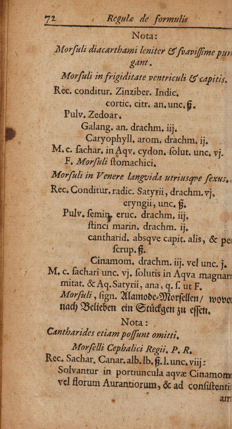 D AS ) uide ^ A 4, rz ME 5, cd 3 s ; í i COR. 0009 Regule de formulis ^ Ui NA di B | xo AMorfutz diacartbaimi leniter Gr Joaviffrne pu ! | (gunt. DN Morfuli in frigiditate ventriculi t$ capitis, Kec. conditur. Zinziber. Indic; | ^ —.- | ia Cortic, citr. an, unc,f. Pulv, Zedoar, | Galang. an. drachm, iij. | .. Catyophyll, arom, drachm, ij, M. c. fachar, in Aqv. cydon, folut. unc, vj. | F. Morfili ftomachici, | 5d Et | Morfuli in Venere languida utriusqne fexus, .. Rec, Conditur, radic. Satyri, drachm. vj, | eryngii, unc, f, | Pulv, femi, eruc. drachm, iij, ftinci marin, drachm. ij, : cantharid, absqve capit. alis, &amp; pe hii .- Wernp.Se l : * Cinamom, drachm. iij. vel unc. j,- M, c. fachari unc. vj, folutis in Aqva magnan us Bücat, &amp; Aq.Satyrii, ana,q.f. ut F,- Foe. Morfuli , fign. 2(amobe-Sotorfellen;. ogg Vd) SSelieben. ein Ctidfgen jefe c | A Nota:, gd Cantharides etiam poffunt omitti, | Morfelli Cepbalici Regii, P, R,. Rec. Sachar, Canar, alb.Ib, f. l.unc, viij : .. Solvantur in portiuncula aqva Cinamom vcl florum Aurantiorum, &amp; ad confiftenti