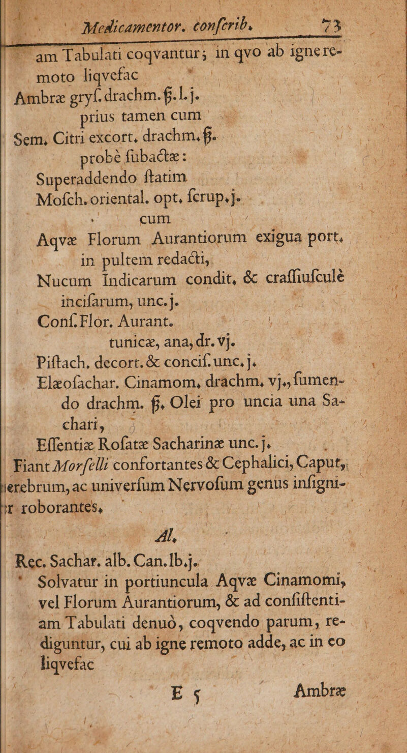 j di A b ddmnón. d OMOBS 73 ^ am Tibub coqvantur ; in d ab ignere- . moto liqvefac  Ambre gy. drachm. f. j. prius tamen cum ' Sem, Citri excort, drachm. f. probé fübacte : - Superaddendo ftatim. | Moích. oriental. opt, fcrup.] ke v De apum Aqvz Florum poe exigua port, in pultem redacti. Nucum Indicarum condit, &amp; craffiufculé . incfarum,unc.j. e) Confí.llor.Aurant. . | * -- | tunicz, ana, dr. vj. Piftach. decort. &amp; concif: unc, J. Elaofachar. Cinamom, drachm. vj., fumen- - do drachm. f. Olei pro uncia una $a- Effentie Rofatz Sacharine unc. j Fiant Morfelli confortantes &amp; Cephalici, Caput, erebrum, ac univerfum Nervofum d infigni- - 'T roborantes, ' i4 Dope ge we JO, : : Rec. Sachar. alb. Can.Ib.j. | | * Solvatur in portiuncula. Aqve Cinamomi, . vel Florum Aurantiorum, &amp; ad confiftenti- | am Tabulati denuo, coqvendo parum, fe. 0$ diguntur, cui ab igne remoto adde,acineo . liqvefac ! : yj ur /—. Ambre.