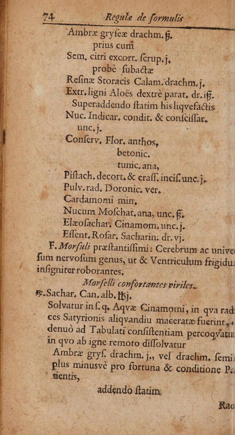 N A - : Pn MUS Dao d Ambre gryfex drachm,g, ue .o5* pnuusgadb 4 Ag Sem.citriexcor.ferup,, — 07 probé fübadte Refinz Storacis Calam.drachm. j Extr.ligni Aloés dextré parat, dr.ifg. . Superaddendo flatim hisliqvefadtis - ; Conferv, Flor, anthos, | betonic. p tunic, ana, | Piflach, decort, &amp; eraff. inci unc.j, Pulv.rad, Doronic, ver, - Cardamomi mim, ^ . NNucam Mofchat, ana, unc, f. Elzofachar, Cinamom, unc.j. ' F. Morfiuli praftantiffimi: Cerebrum ac unive pn. Mavfellt confovtemtes viriles. Sachar, Can, alb, fj. E Solvatur inf; q. Aqva Cinamorni, in qva rad ces Satyrionis aliqvandiu maceerate fuerintj« denuó ad Tabulati confiflentiam percoqvatu: in qvo ab igne remoto diflolvatur — Ambra gryf. drachm. Je Vel. drachm, femi: Jentis, 0 Be s addendoflatm — —