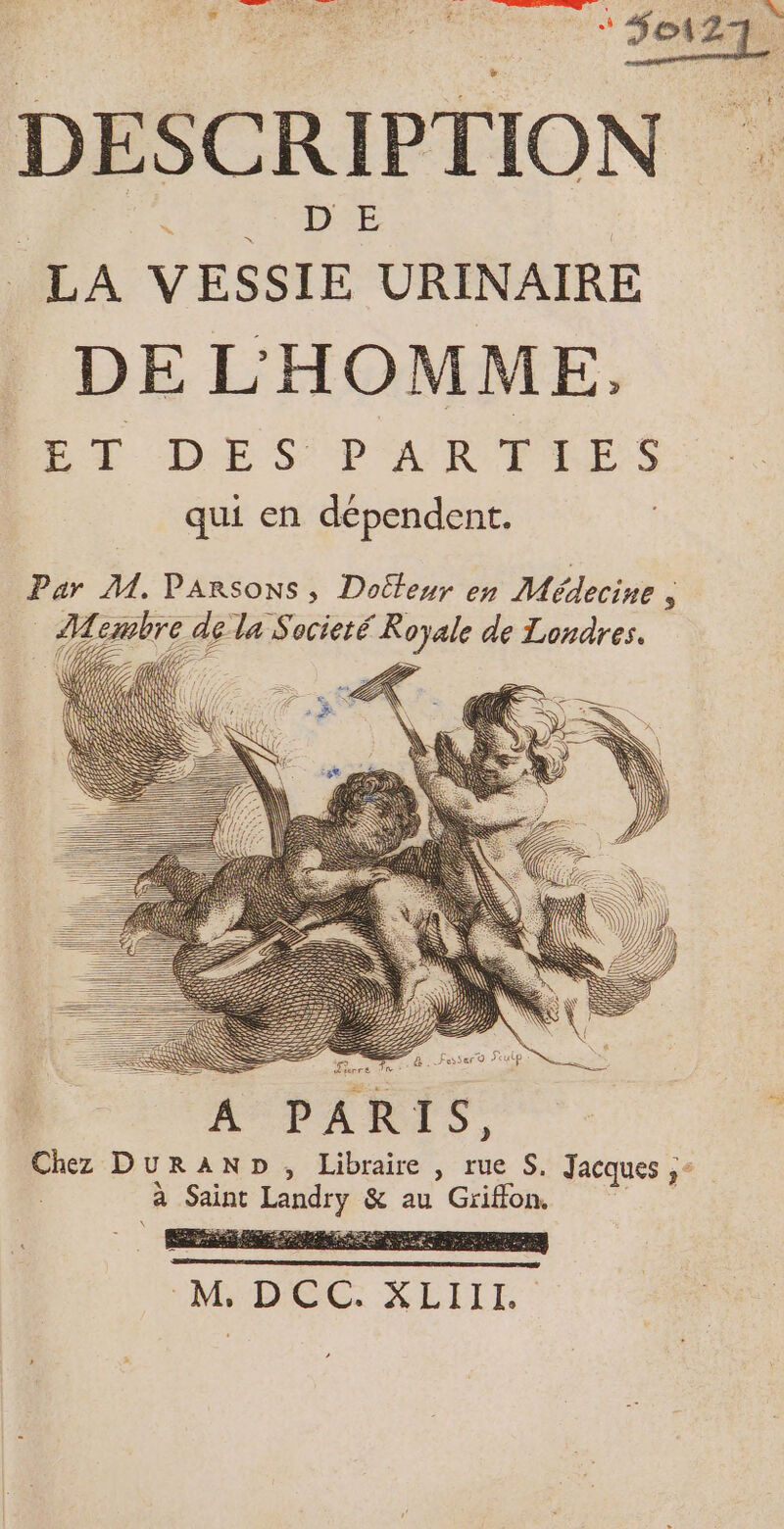nu < LA VESSIE URINAIRE DE L'HOMME, T DES PARTIES qui en dépendent. Par ZM, PARSONS, Dotteur en Médecine À re de las ocieté Royale de Londres. 17, Li LS CL LL ps 51 Ca 2 &amp;. Fesser © Seulp ter APARTS. Chez DURAND, Libraire , rue S. Jacques ,- à Saint Landry &amp; au Griffon.