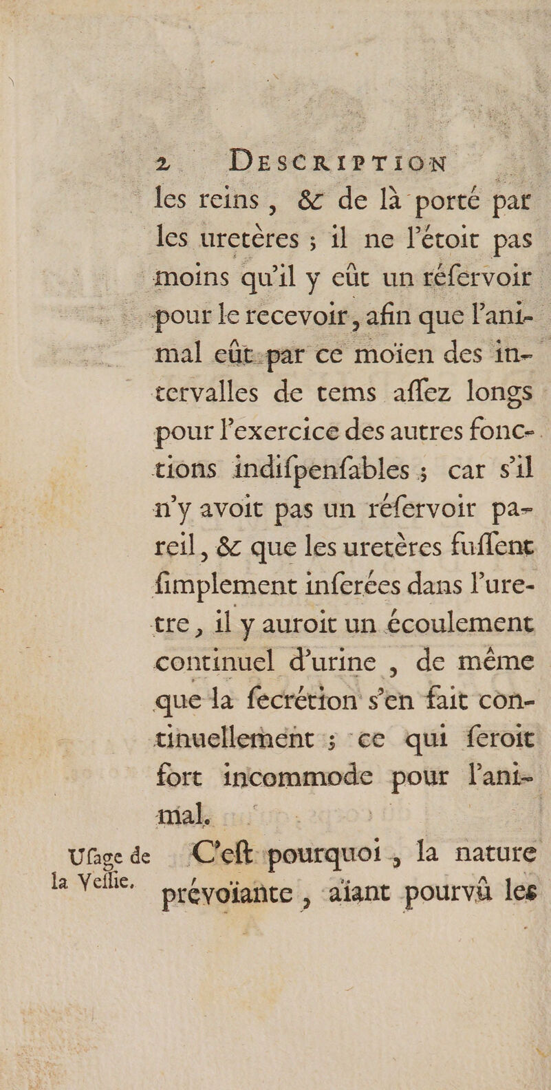 les reins, &amp; de là porté par les urecères ; il ne l’étoit pas moins qu'il y eût un réfervoir -pour le recevoir, afin que ant mal eût:par ce moïen des in- tervalles de tems aflez longs pour l'exercice des autres fonc-. tions indifpenfables ; car sil n’y avoit pas un réfervoir pa- reil, &amp; que les uretères fuflene fimplement inferées dans lure- tre, il y auroit un écoulement continuel d'urine , de même que la fécrétion s’en fait con- tinuellement ; ce qui feroit fort incommode pour lant- make ccm. f | | Ufage de Celt pourquoi , la nature k Valle. brévoiante , diant pourvà les