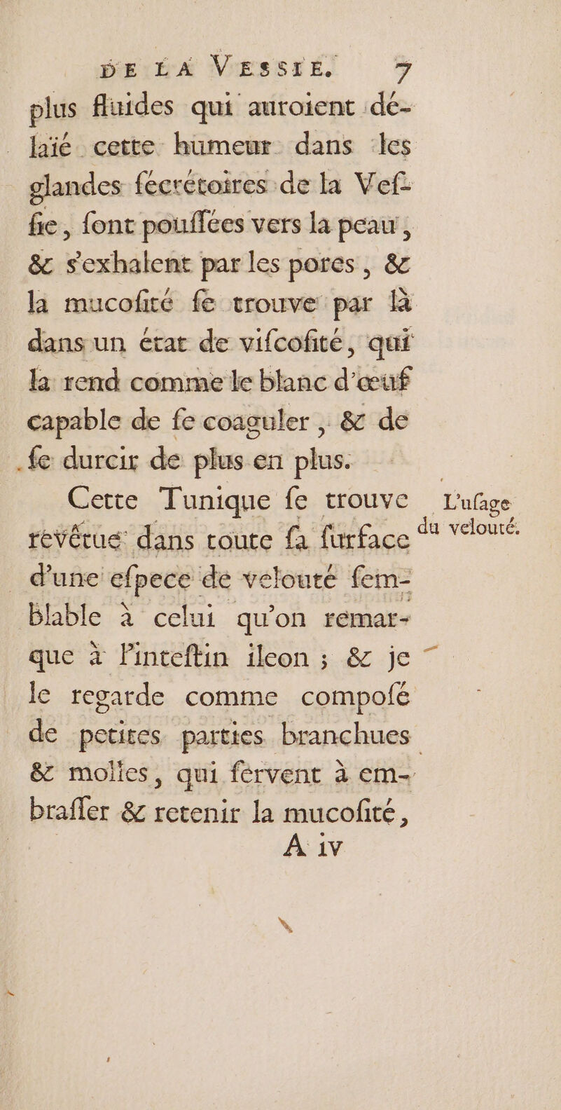 DEA VEssté! o% lié cette humeur dans les glandes fécrétoires de la Vef: fie, font poiffées vers la peau, &amp; sexhalent par les pores, &amp; la rend comme le blanc d'œuf capable de fe coaguler , &amp; de .fe durcir de plus en plus. Cette Tunique fe trouve revêtue: dans coute fa furface d'une cfpece de veloure fem- blable à celui qu'on remar- que à linteftin ileon ; &amp; je le regarde comme compofe L ufage du velouté. brafler &amp; retenir la mucofité, À 1v