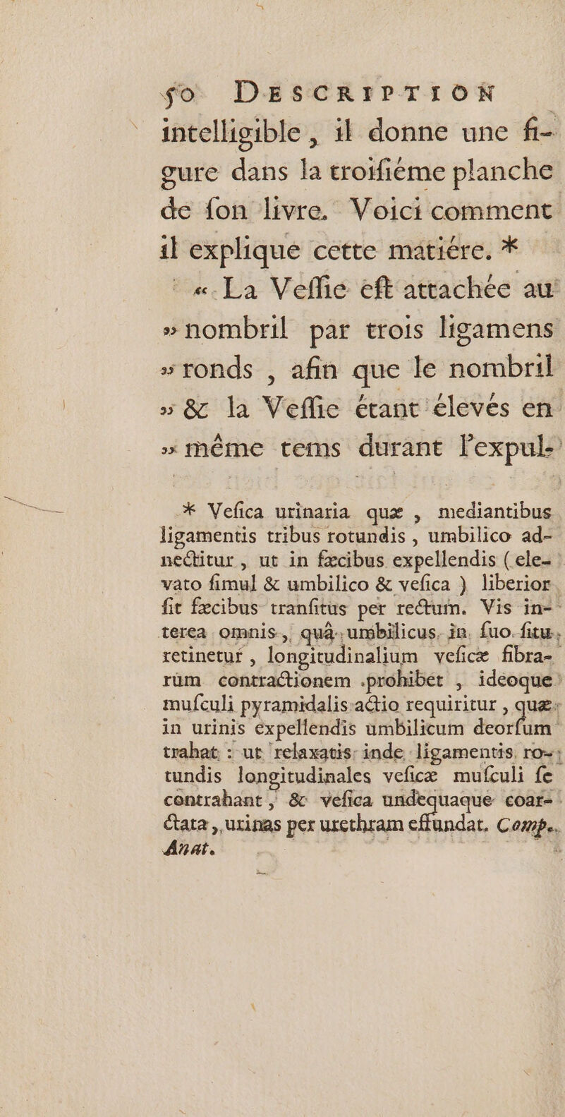 intellisible | il donne une f- gure dans la troifiéme planche de fon livre. Voici comment il explique cette matiére. * «La Vefie eft attachée au: » nombril par trois ligamens “ronds , afin que le nombril 5 &amp; la Veflic étant élevés en »* même tems durant lexpul- * Vefica urinaria quæ , mediantibus ligamentis tribus rotundis , umbilico ad- nectitur , ut in fæcibus expellendis (ele- vato fimul &amp; umbilico &amp; vefca } liberior. fit fecibus tranfitus per retum. Vis in- terea omnis, quâ-.umbilicus, in. fuo. fu, retinetur , longitudinalium veñcæ fibra- rüm contraétionem .prohibet ; ideoque: mufculi pyramidalis:a@io requiritur , quæ: in urinis éxpellendis umbilicum dort trahet : ut relaxatis: inde ligamentis ro=: tundis longitudinales veficæ mufculi fe contrahant , &amp; velica undequaque coar- état, urinas per uxechram PRES Comp. Ant. R ne à